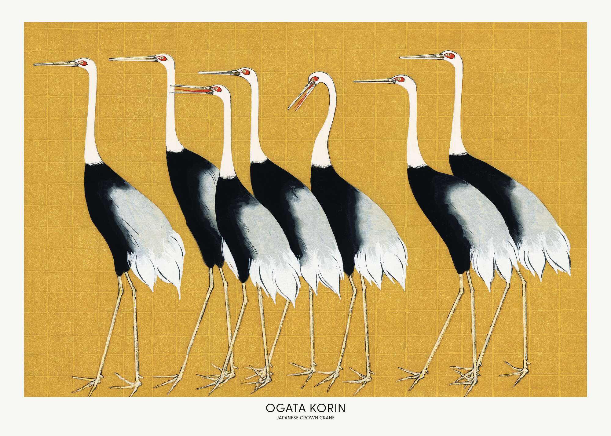 Japanese Red Crown Crane No. 1