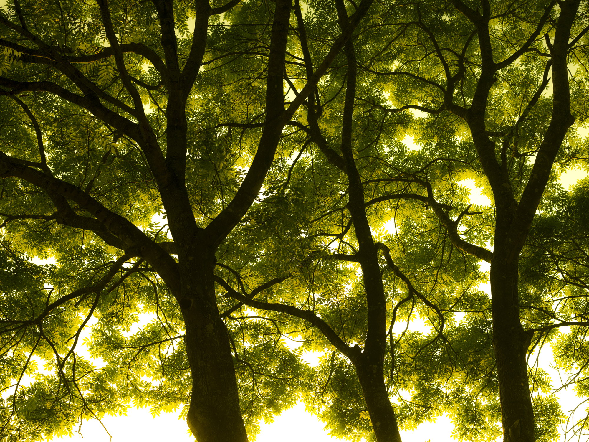 Natur17