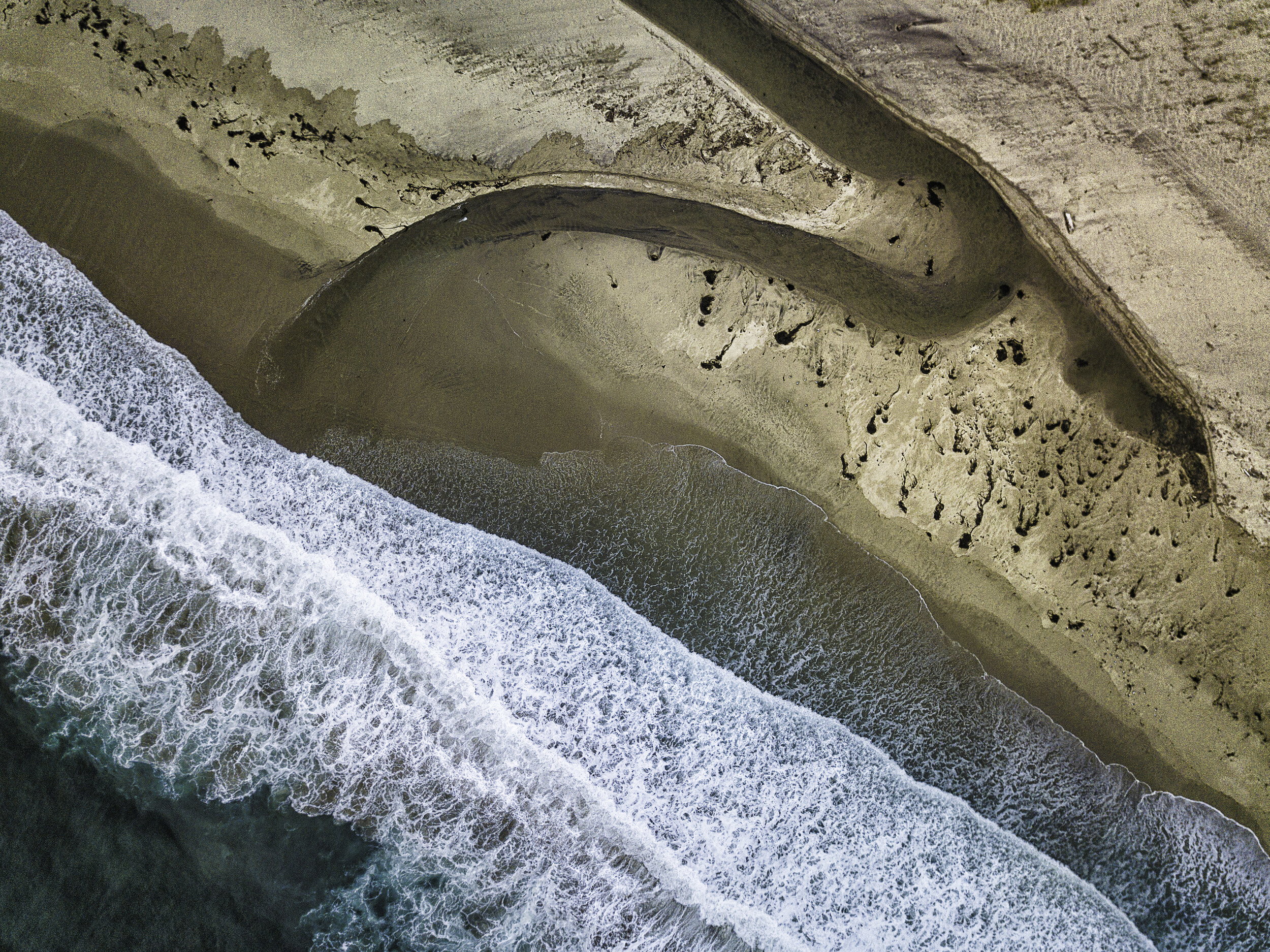 Ocean Meets Estuary