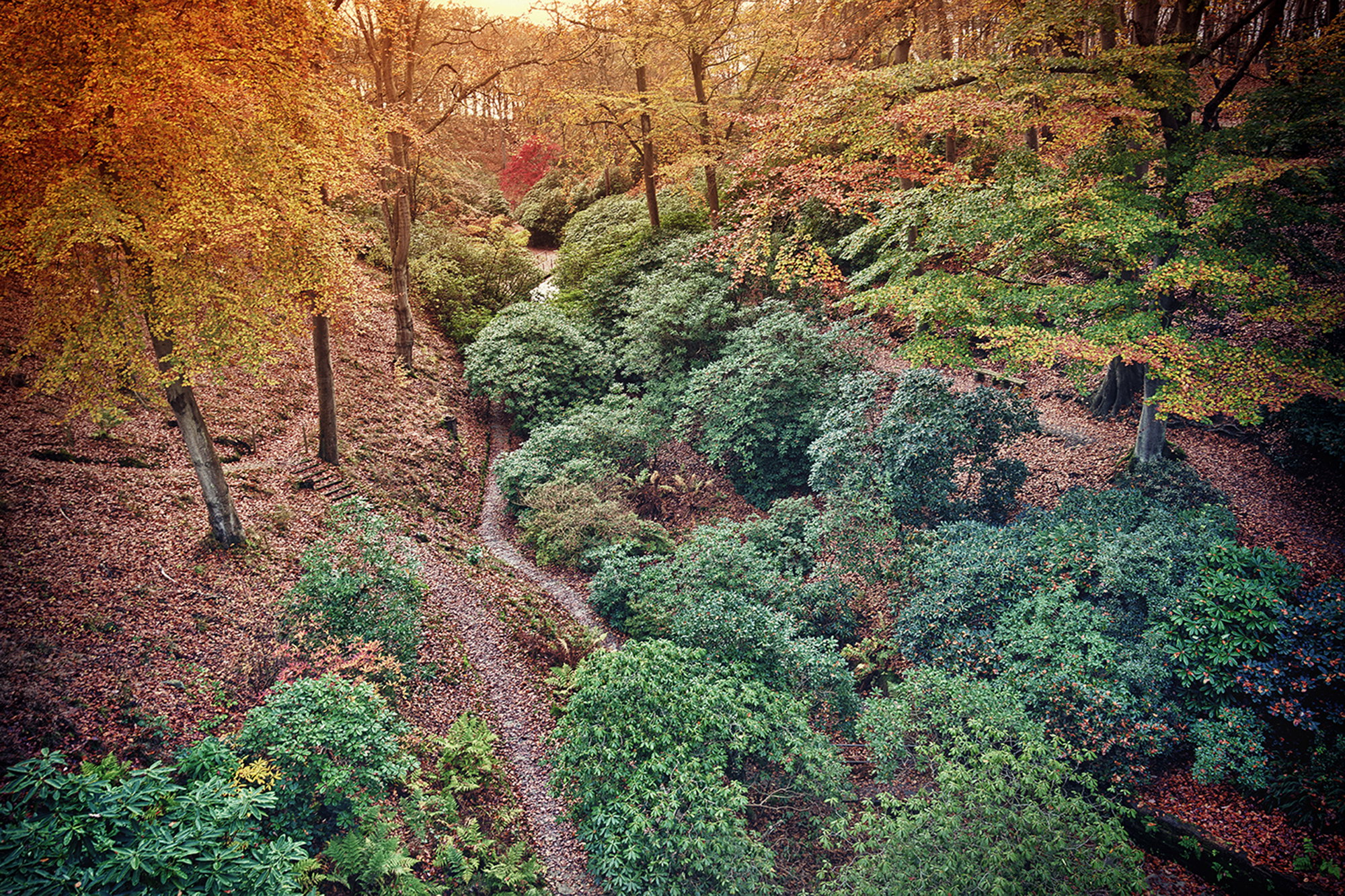 Autumn