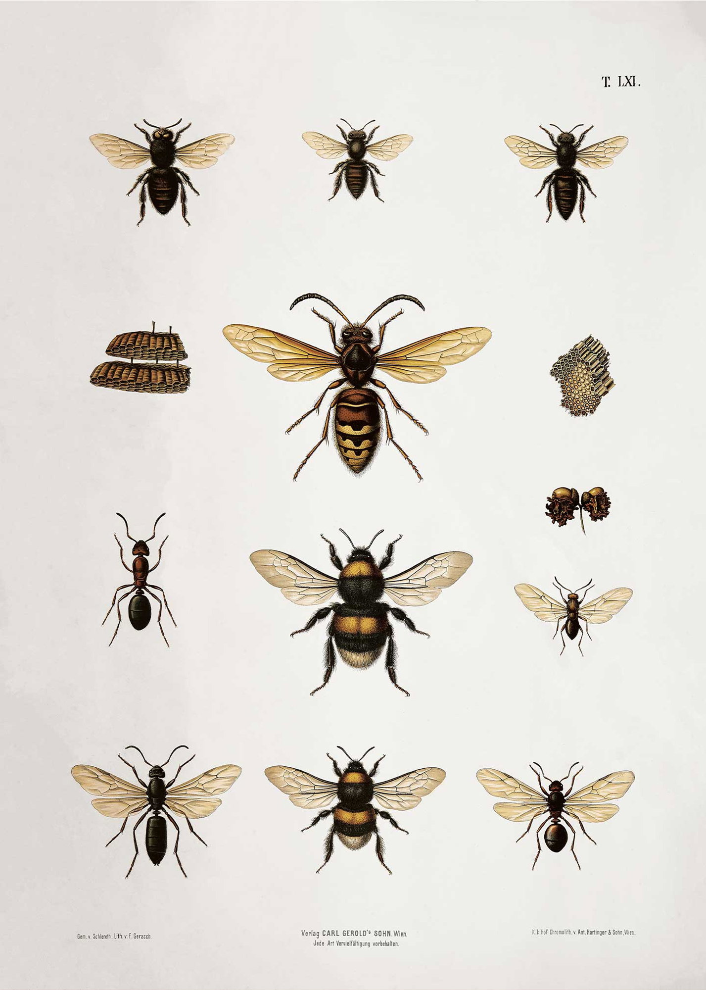 Bees