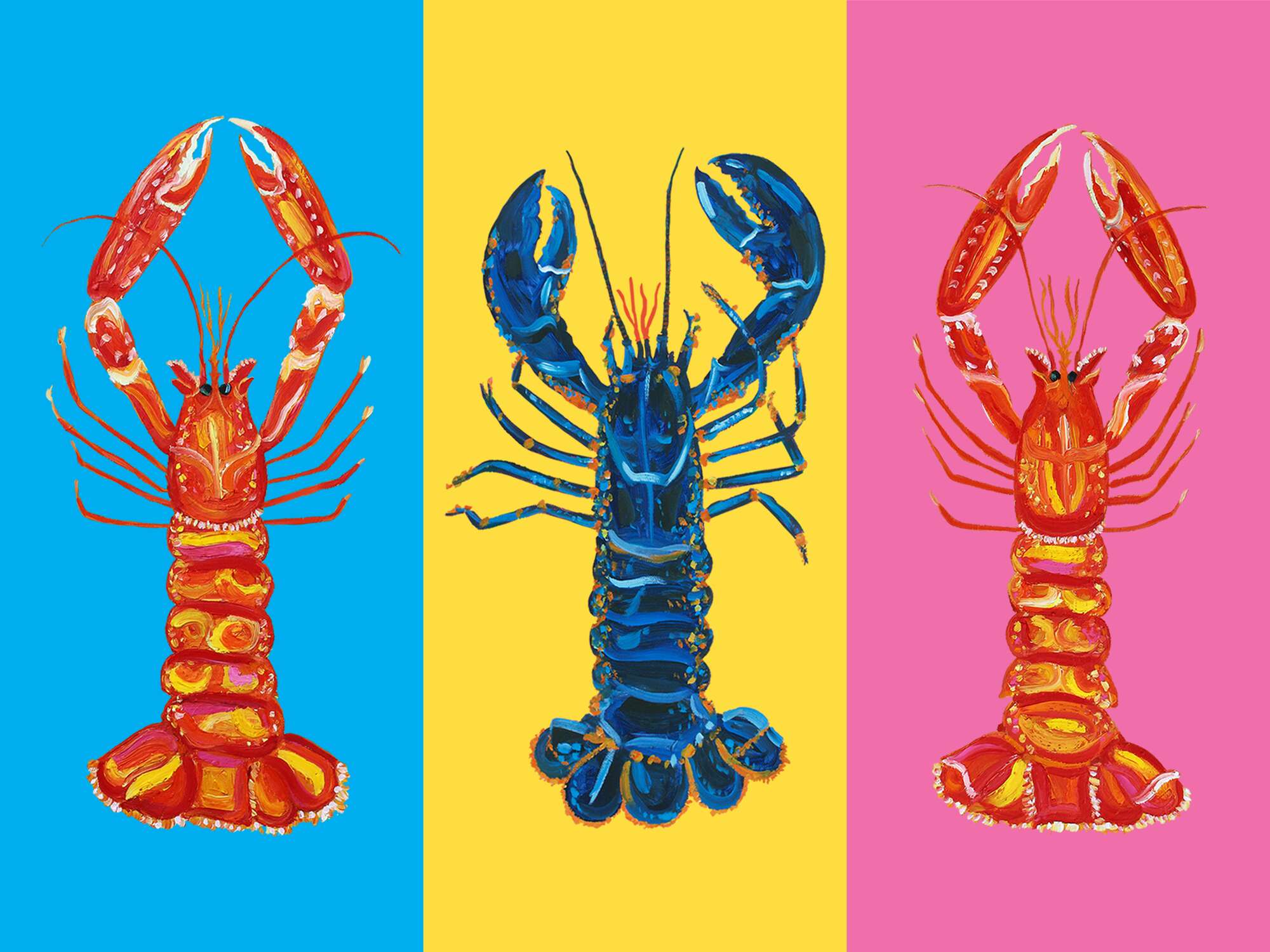 Colorful Pop Lobsters