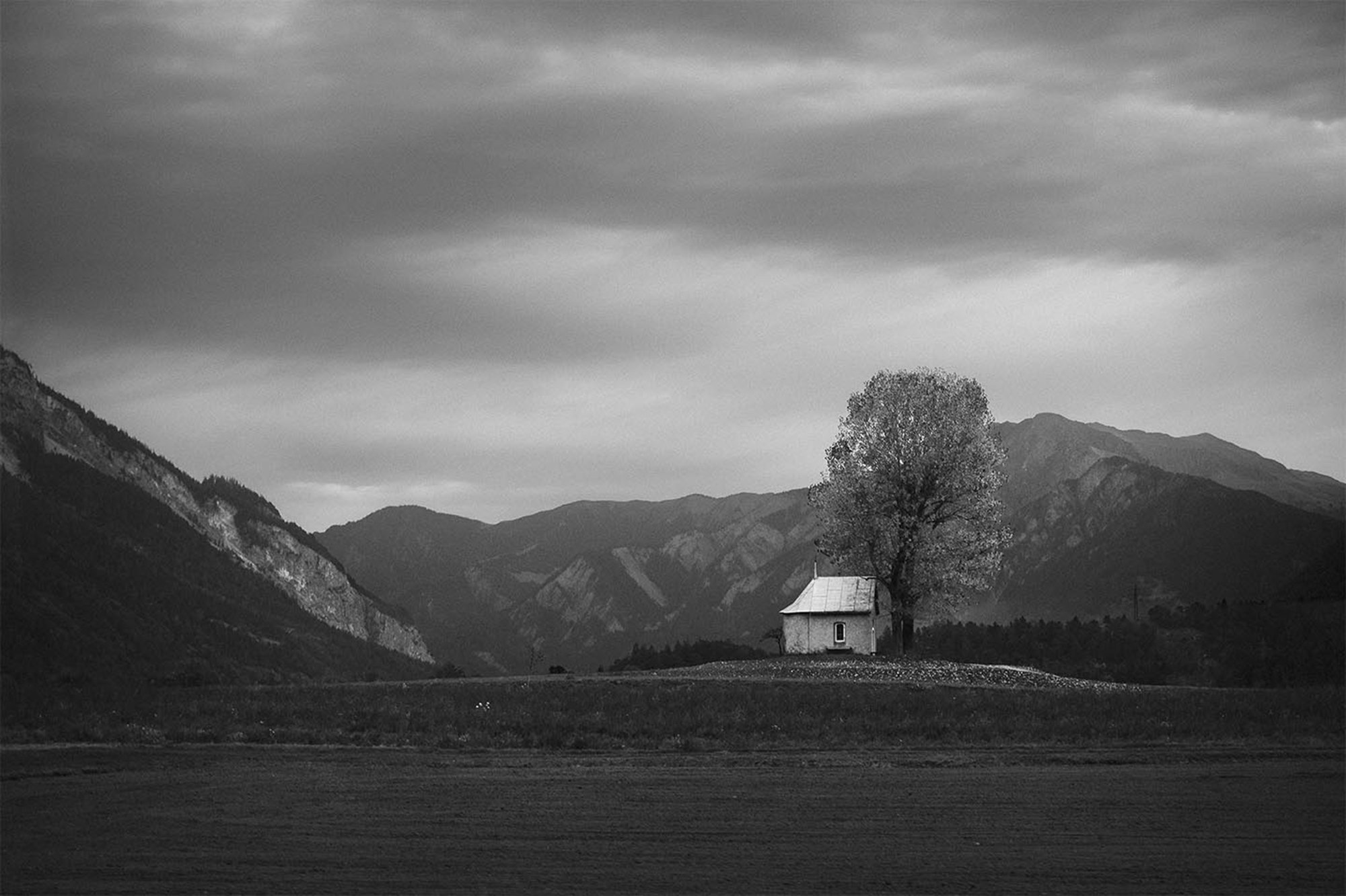 The lonely house and tree