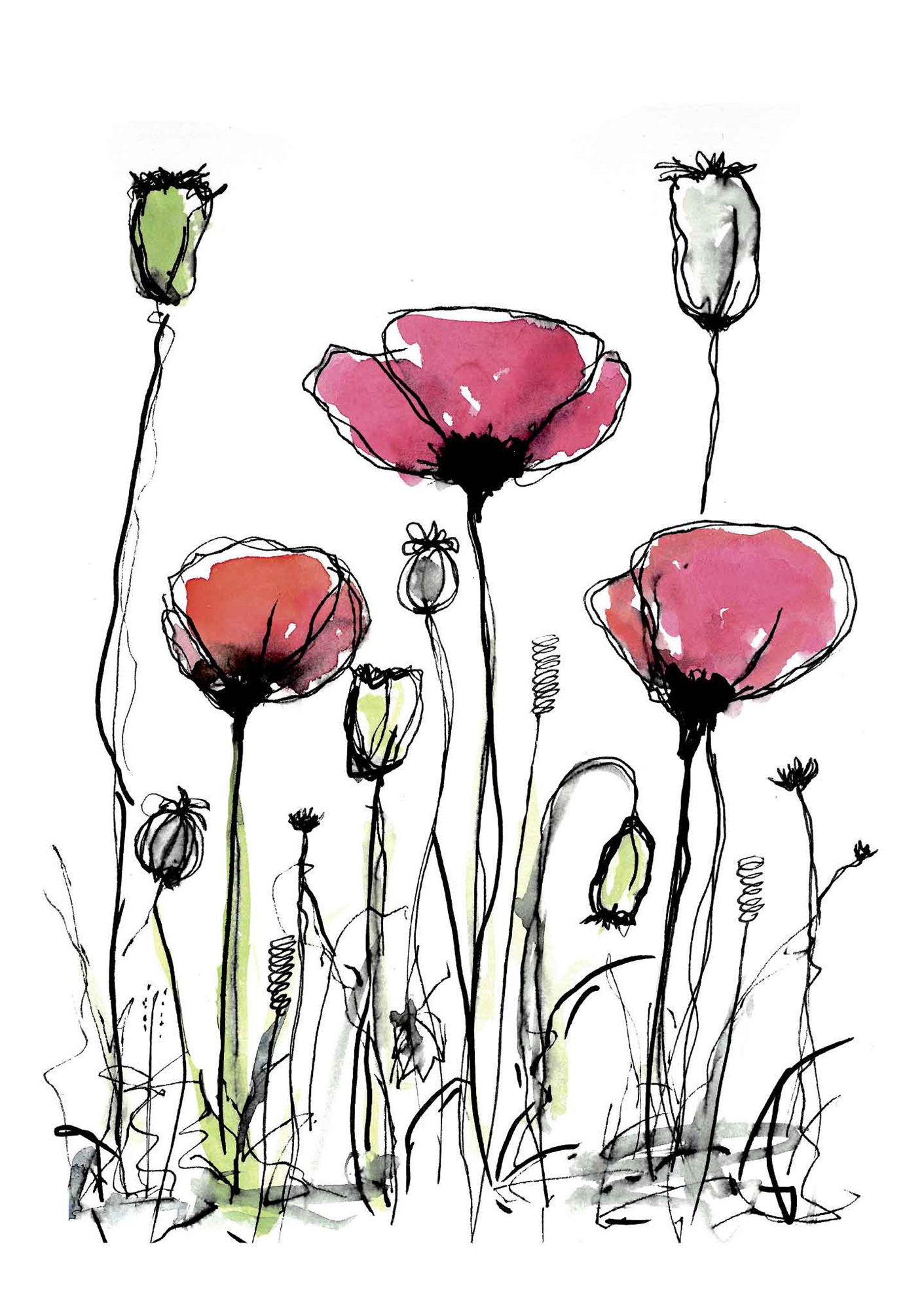 Field flowers