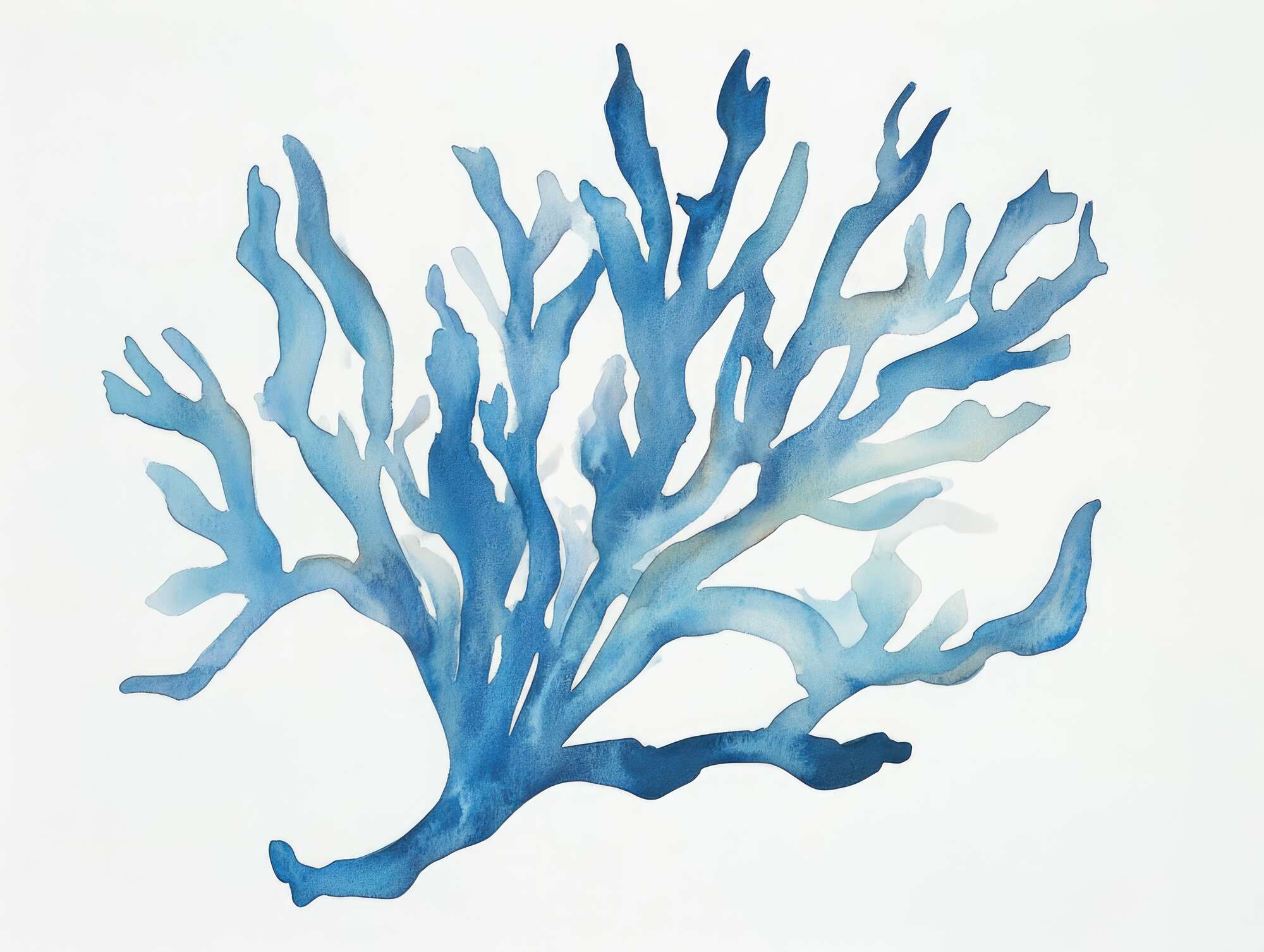 Blue Coral