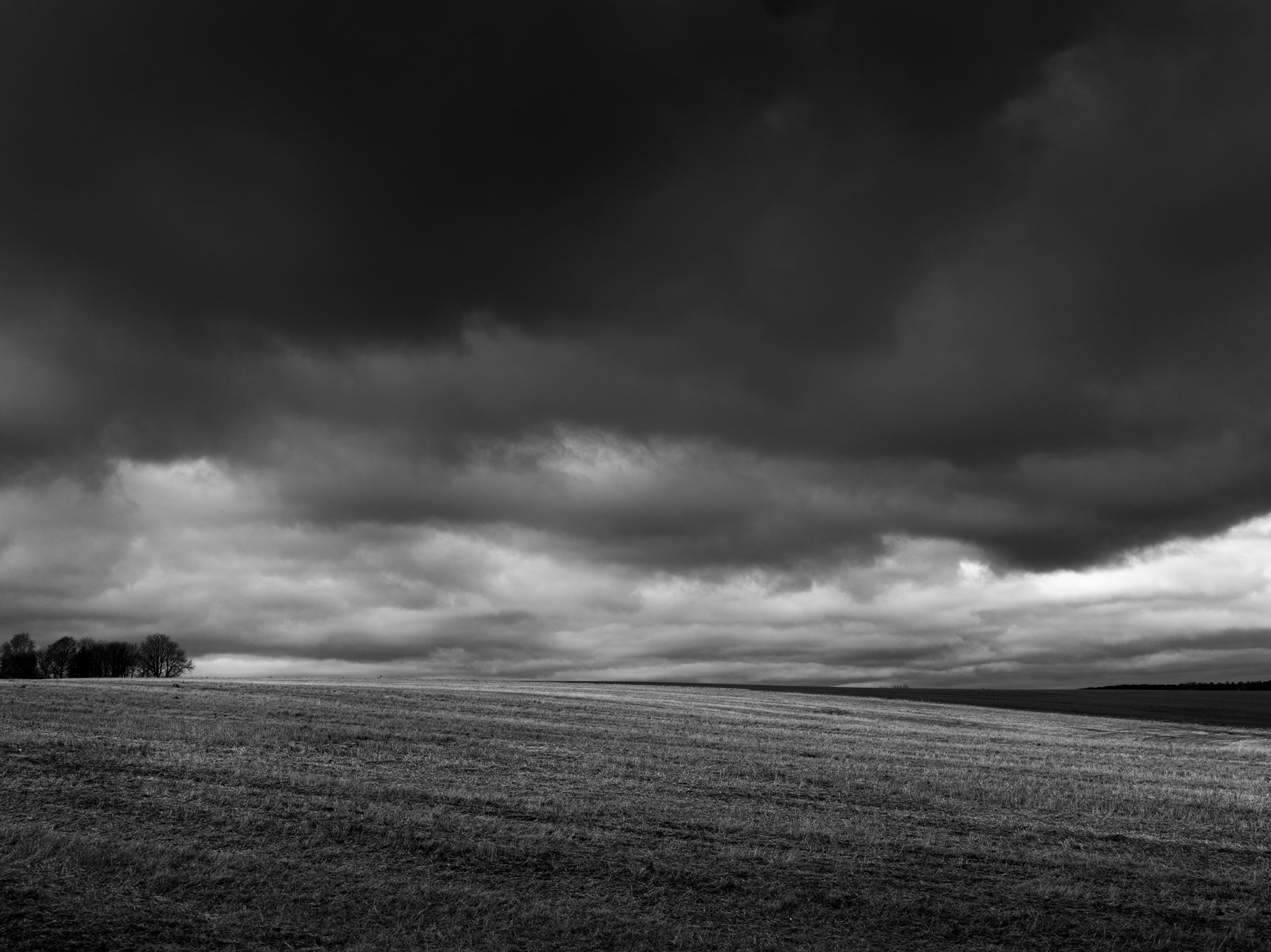 Fields