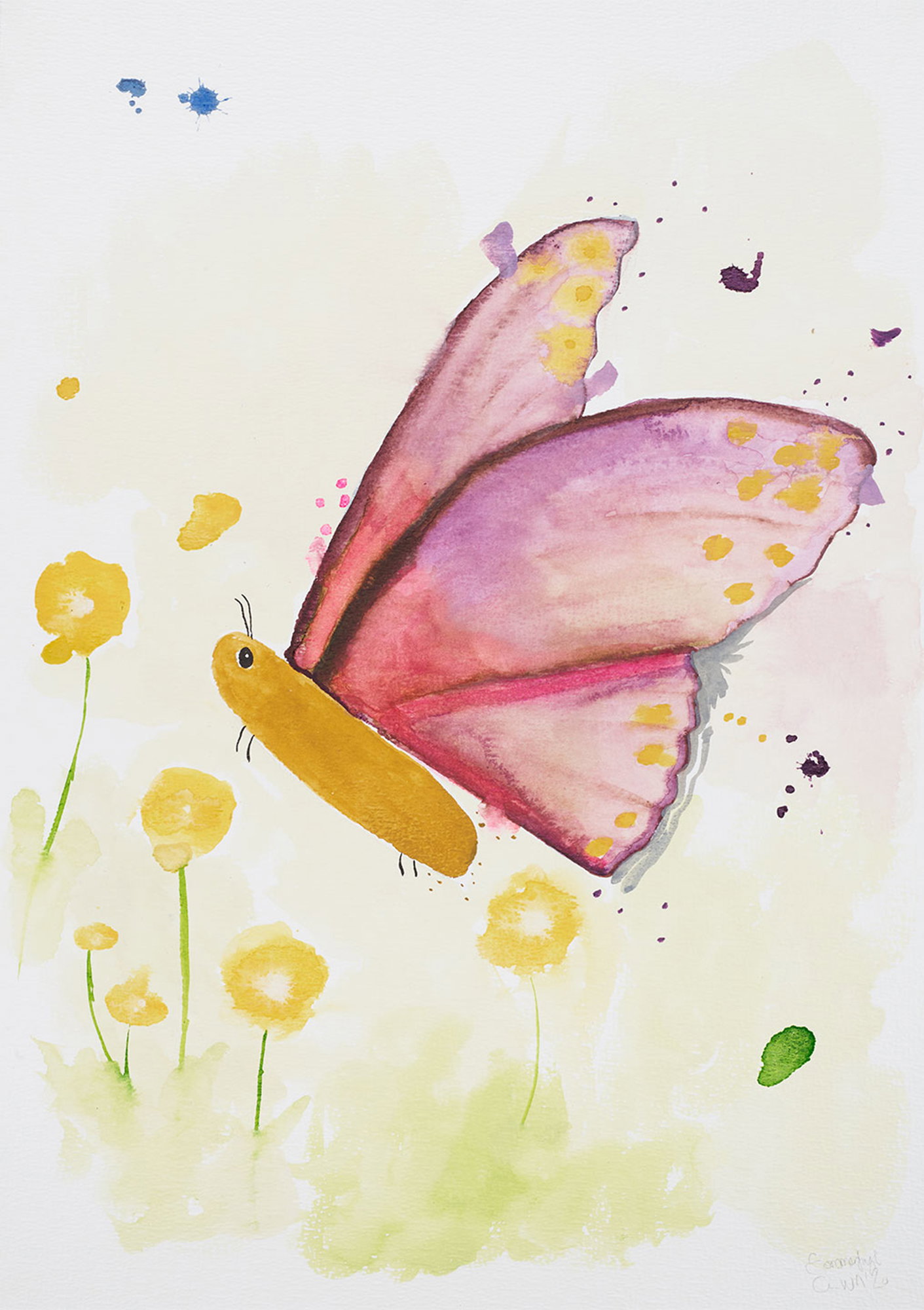 Sommerfugl