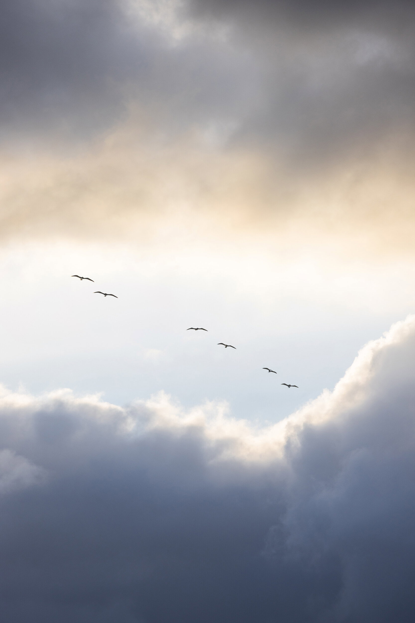Flying High 10