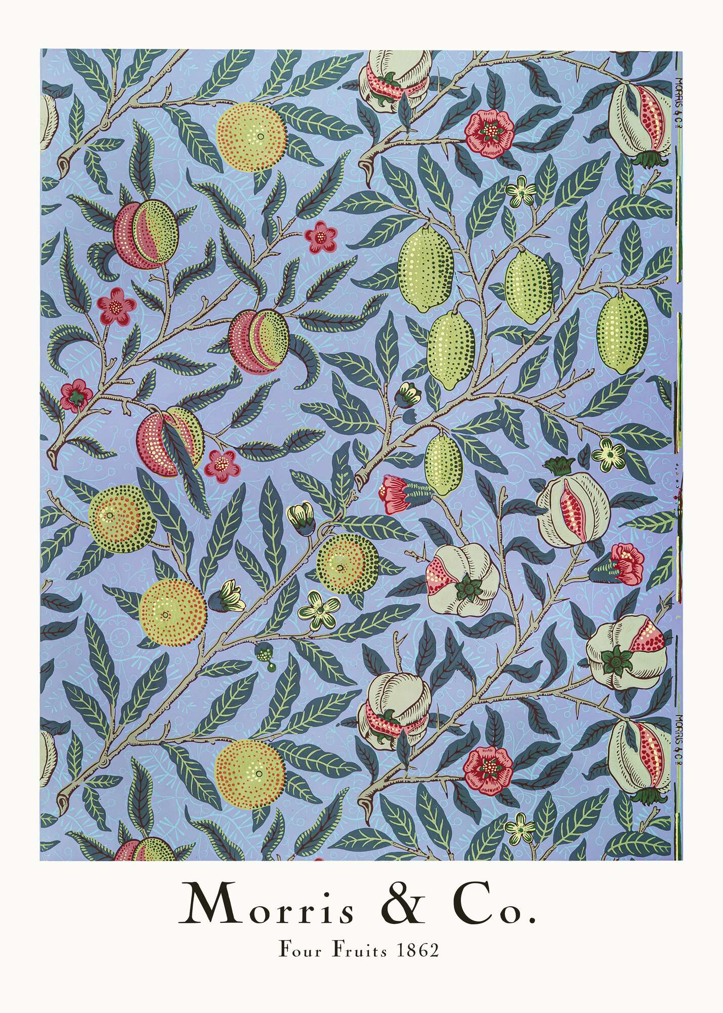 Four Fruits