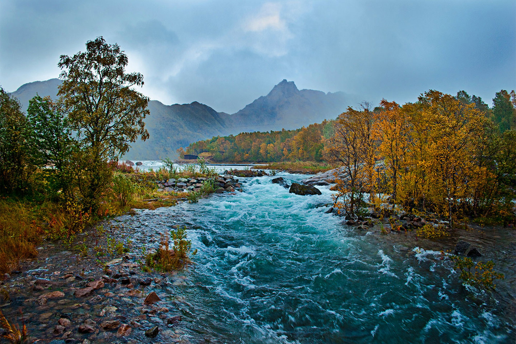 Autumn River