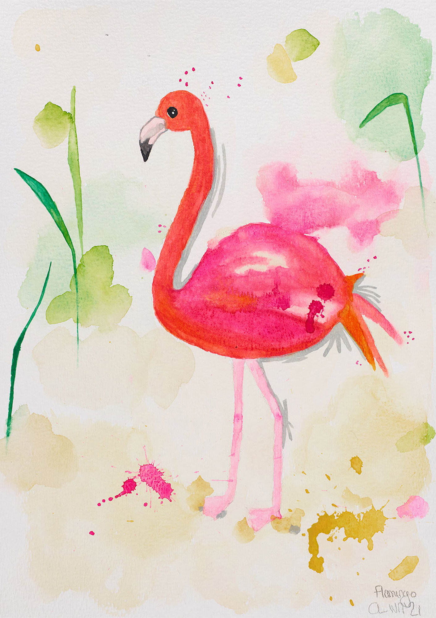 Flamingo