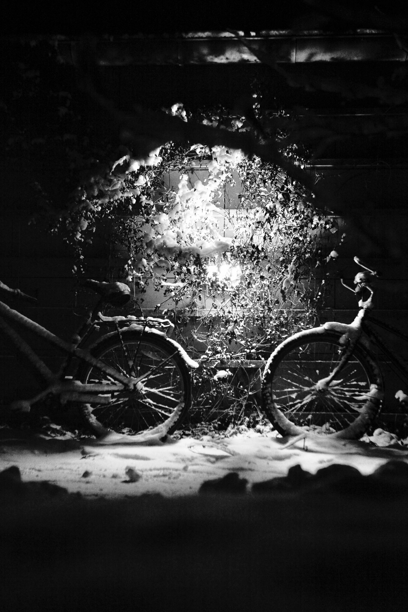 Cykler