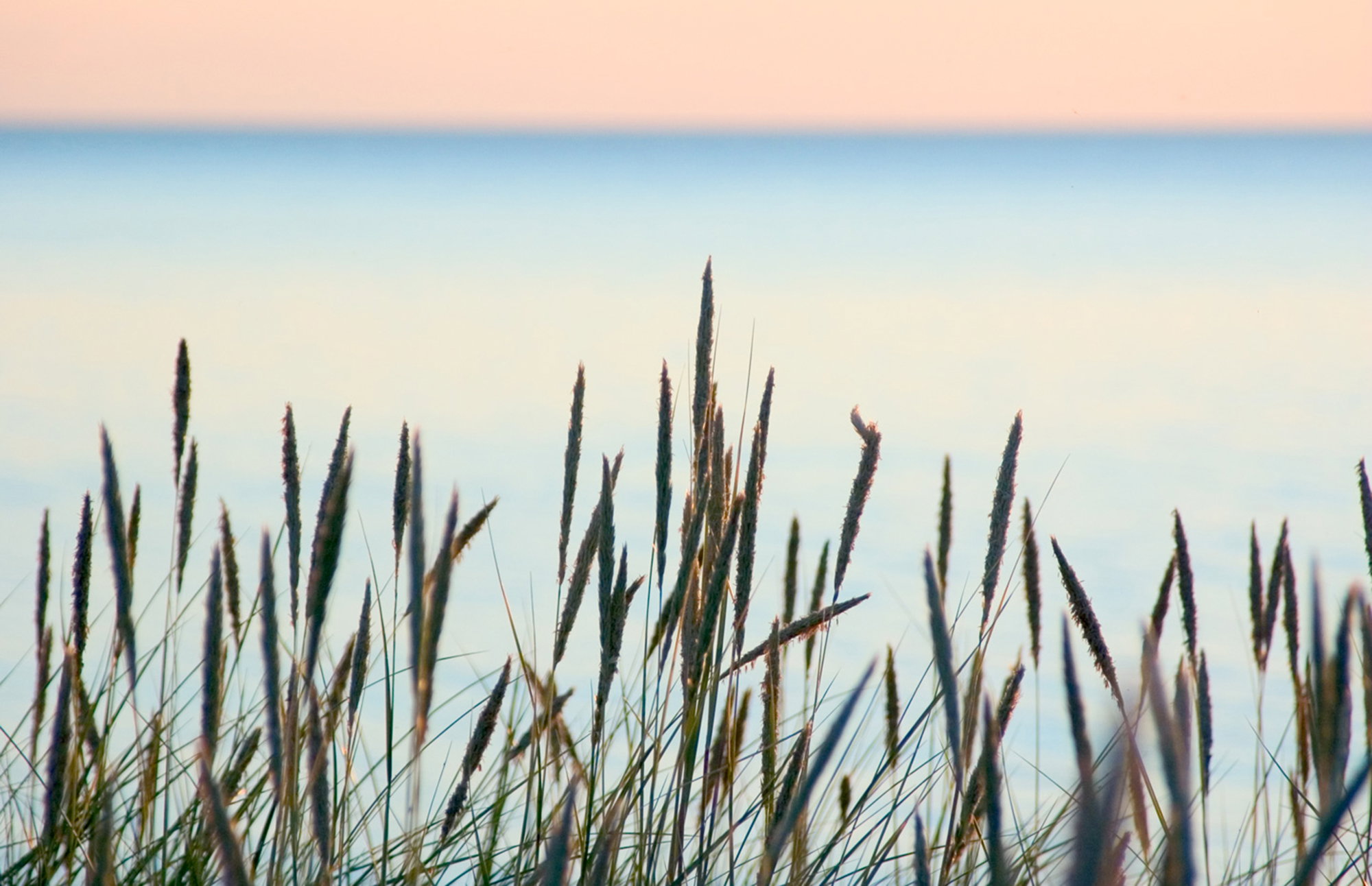 Summer beach