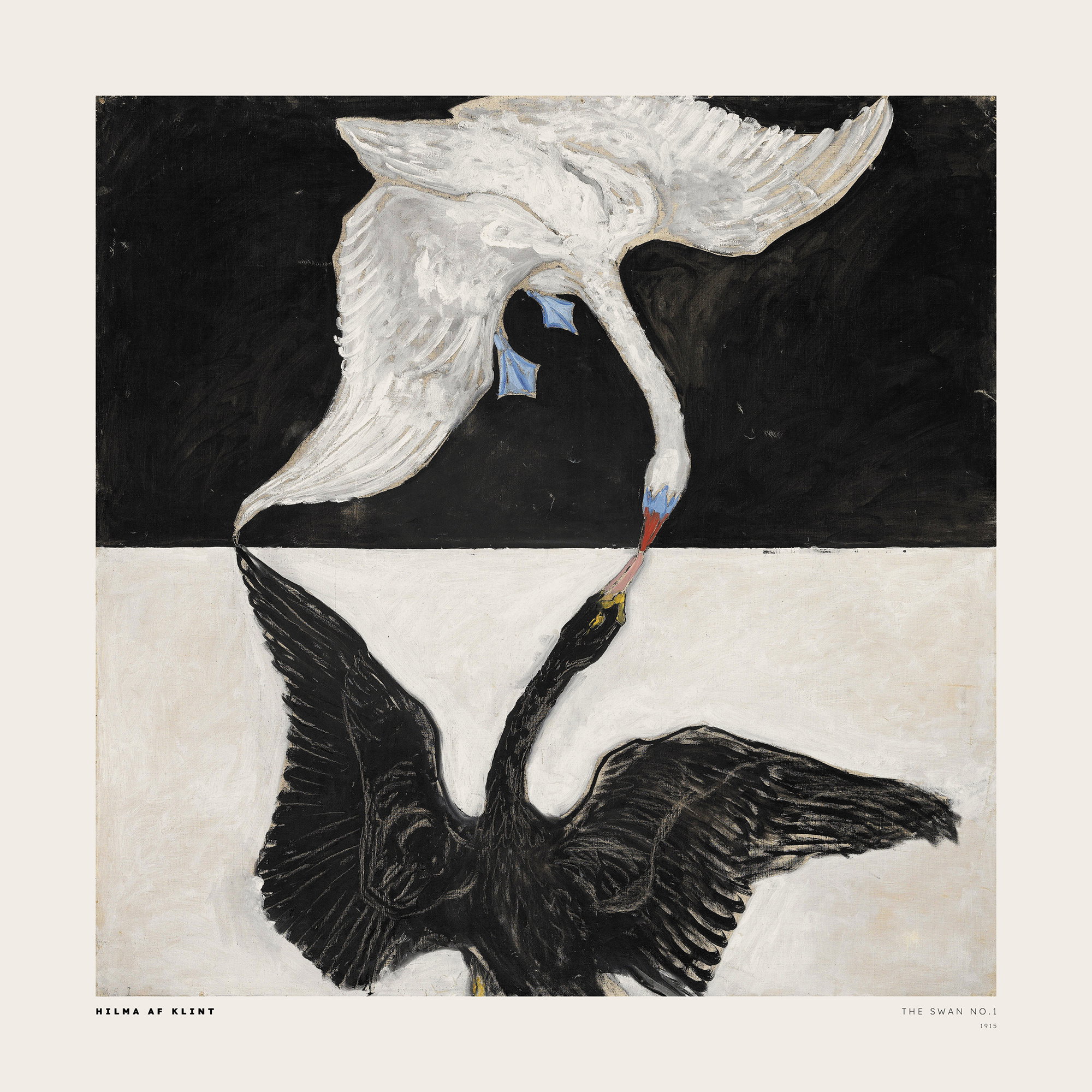 The Swan No. 1 Kvadrat