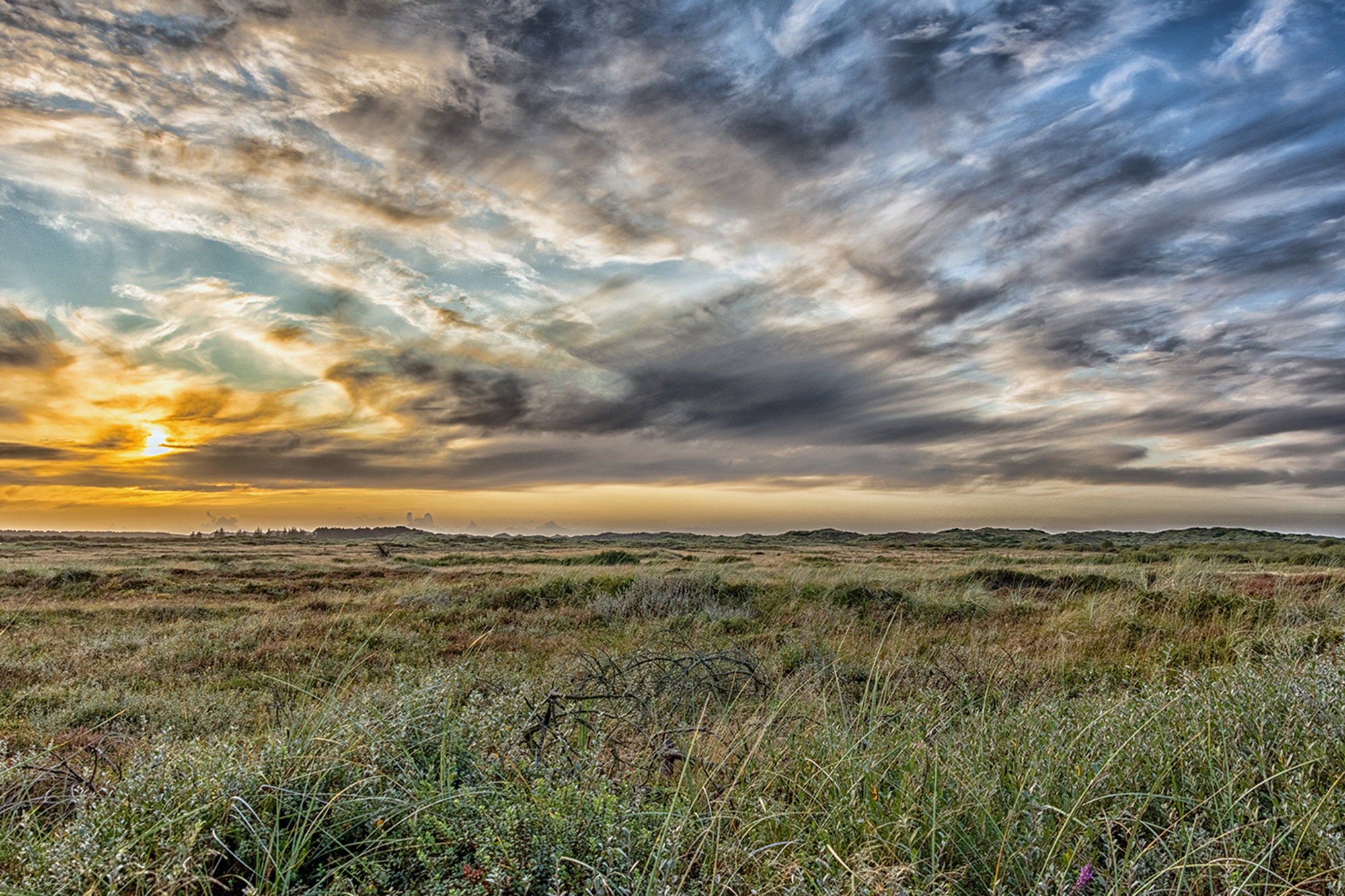 Den vilde natur