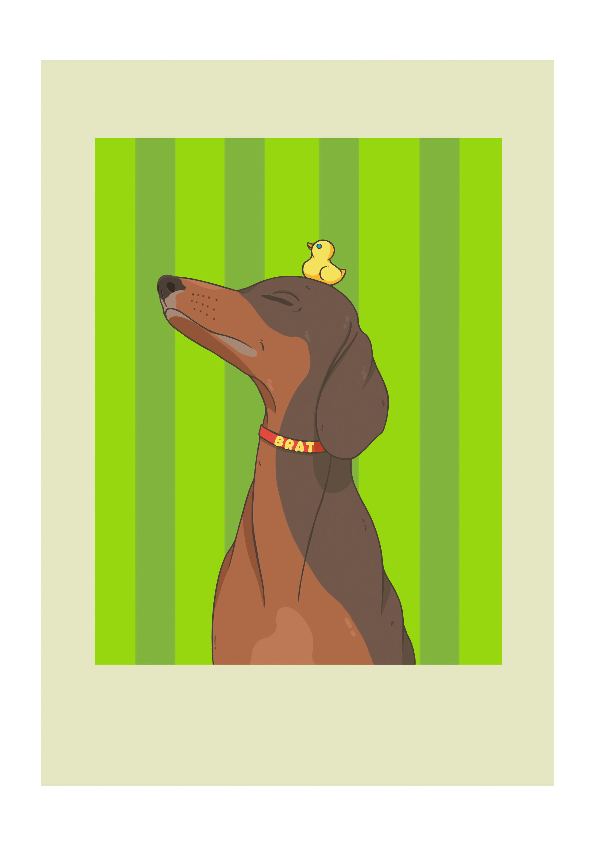 Brat dog