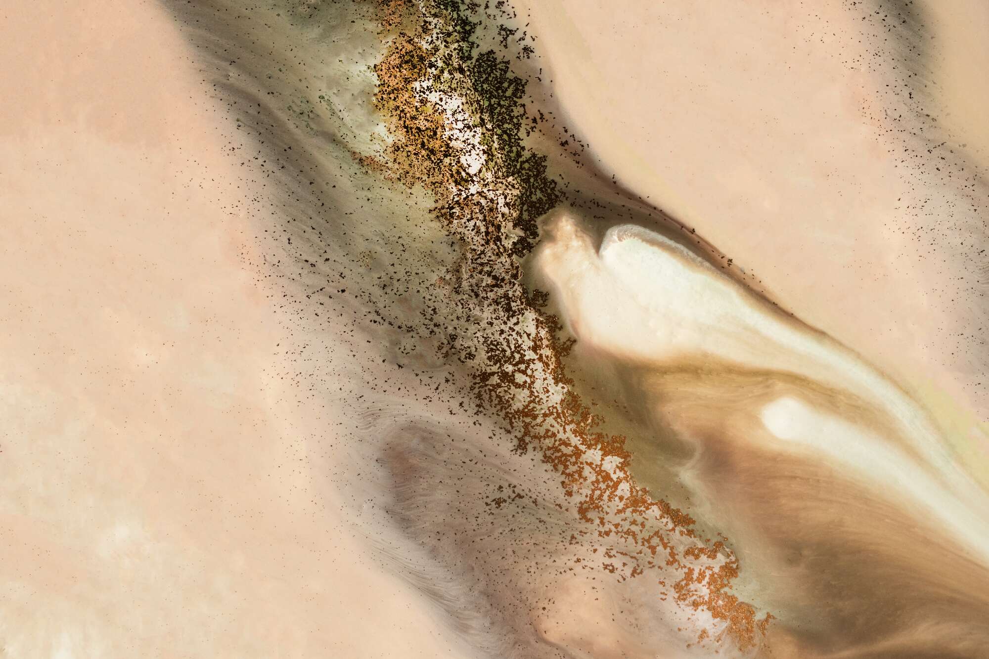 Subtle- Coastal Dunes