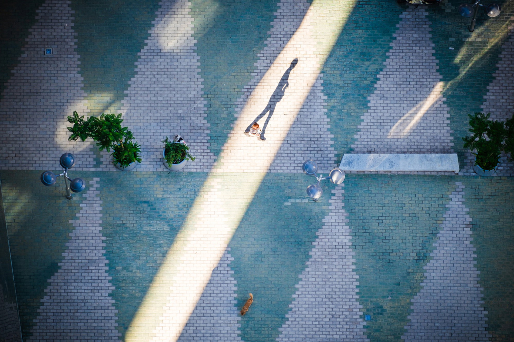 Cast a Long Shadow