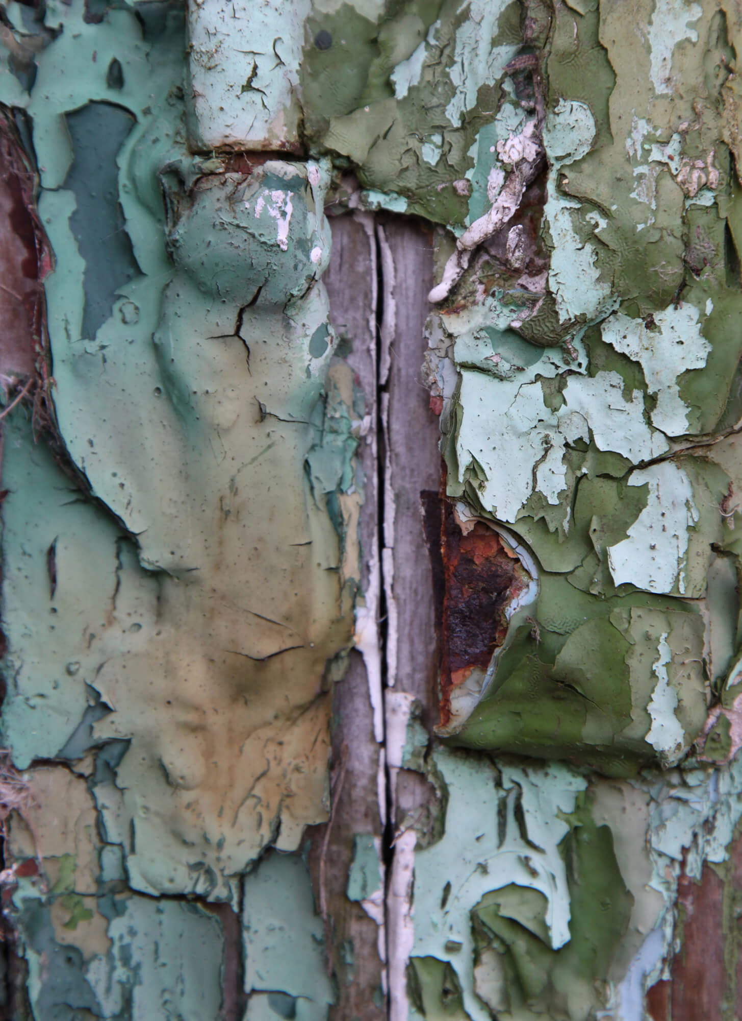 Surface