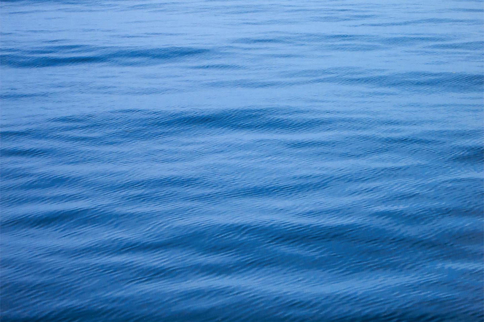 Ripples on a calm sea