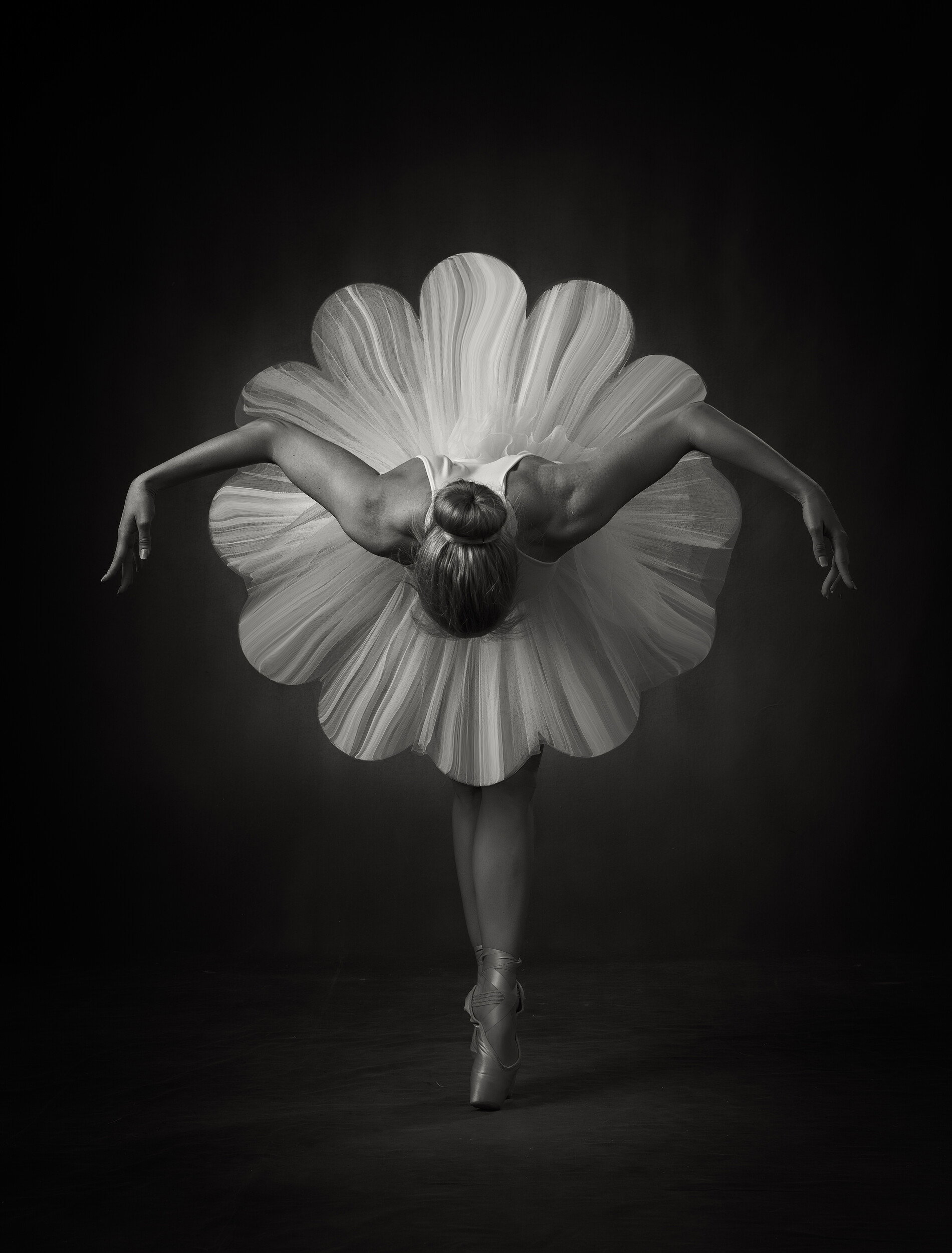 Elegant Ballet Bloom
