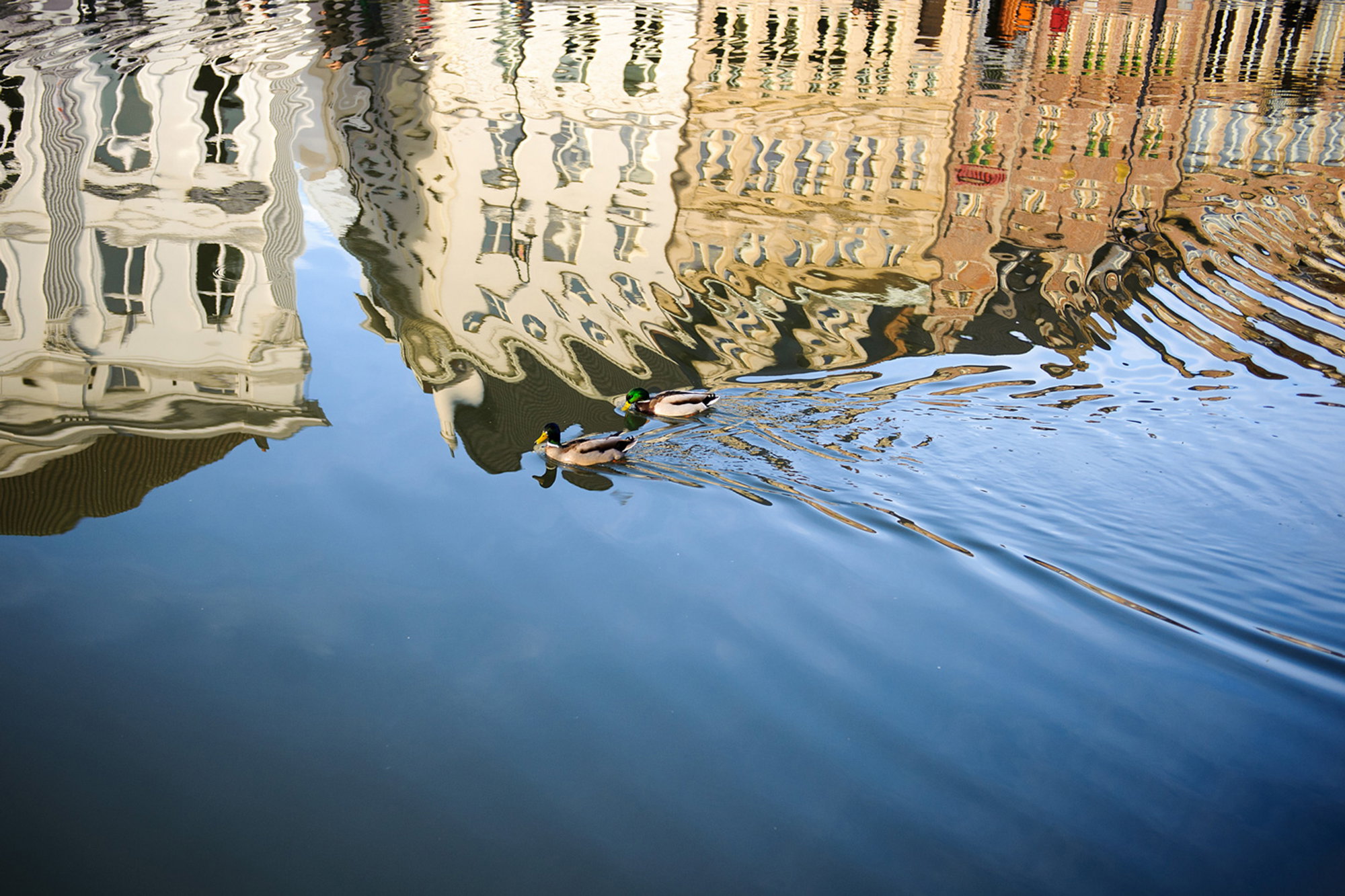 Reflection in Ghent