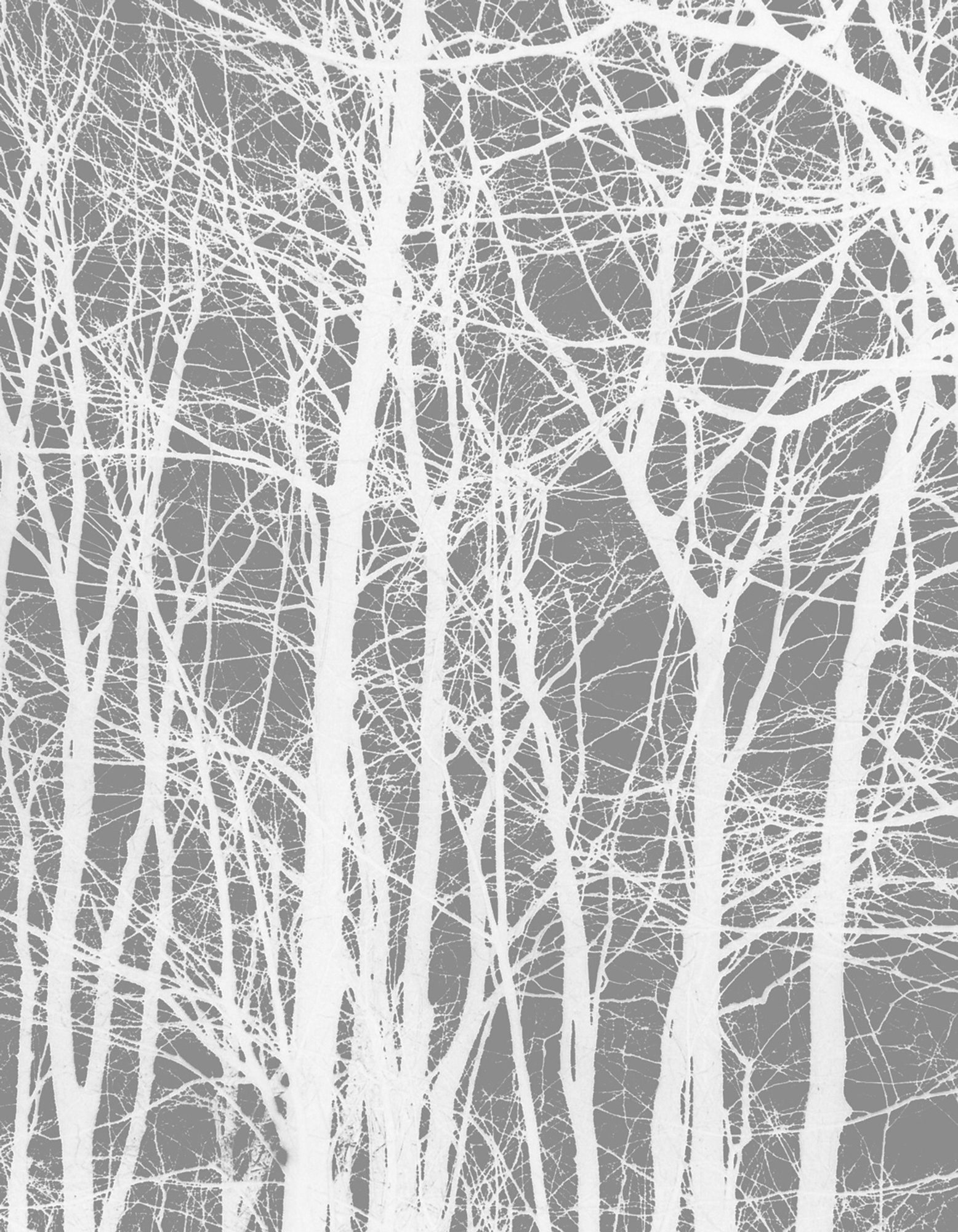 Cherrytree grey