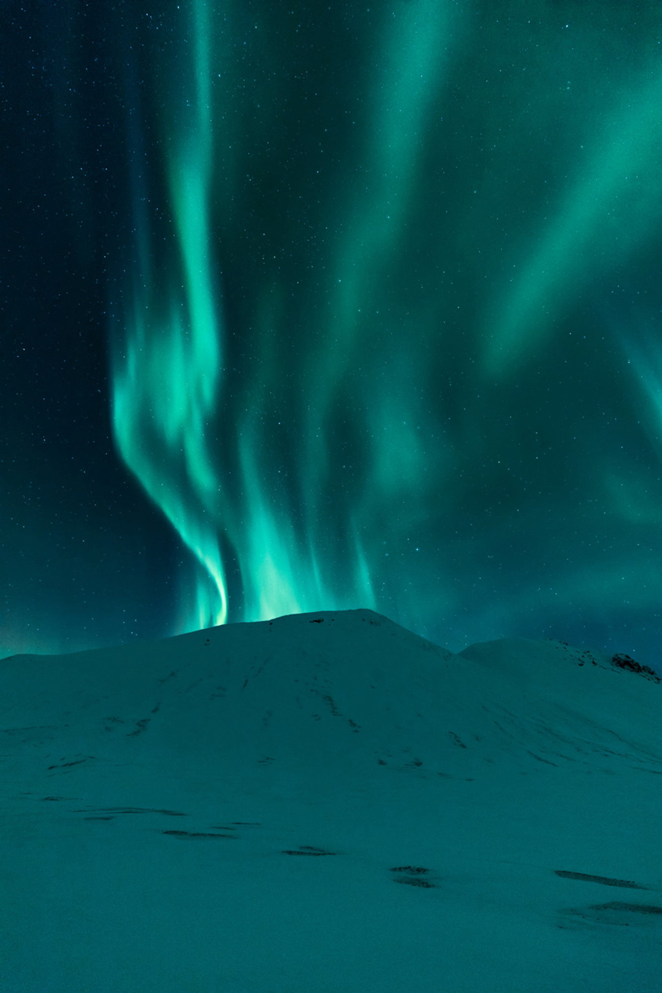 Mountain Fire
