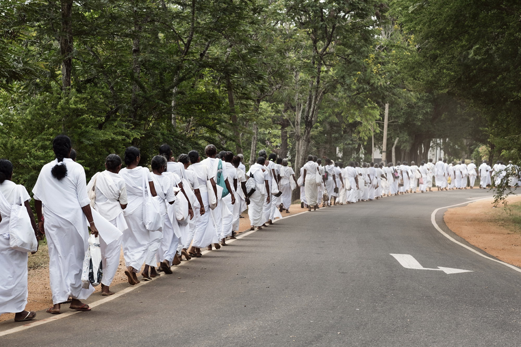 The walk Sri Lanka