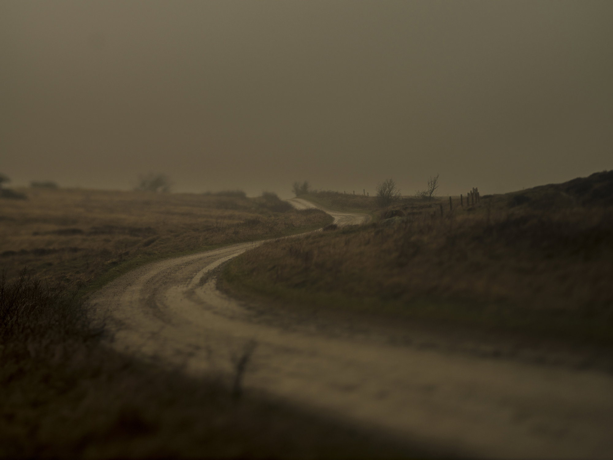 Natur21