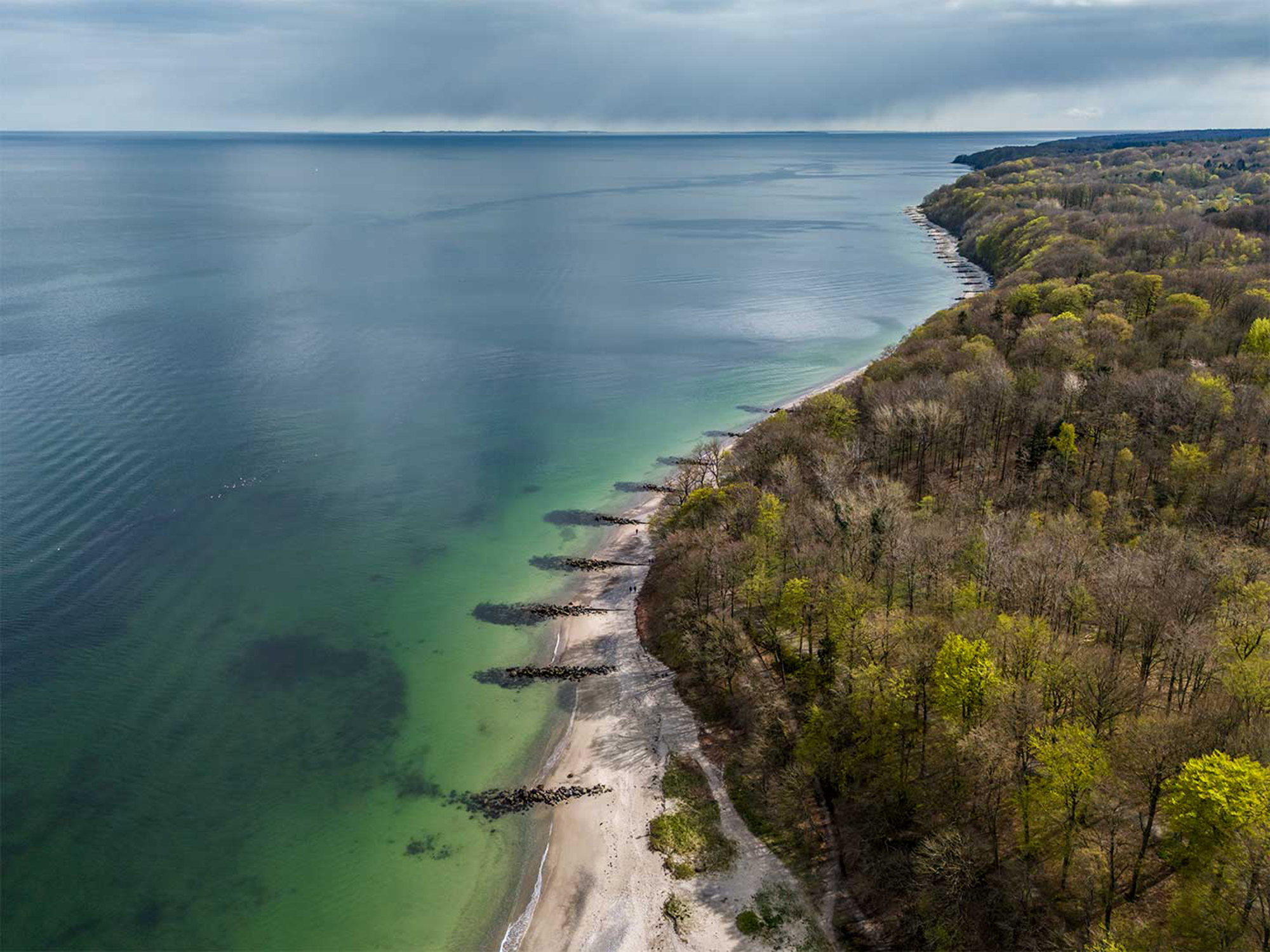 Marselisborg Skov