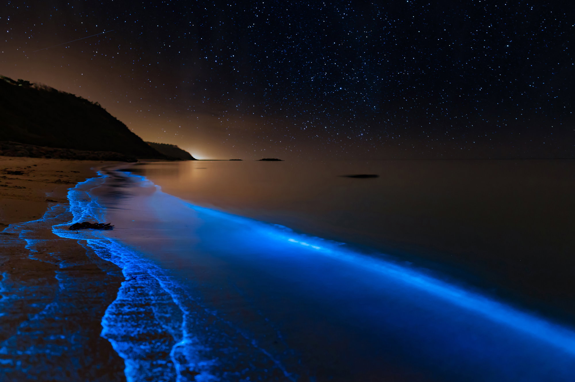Bioluminescence at the danish coastline