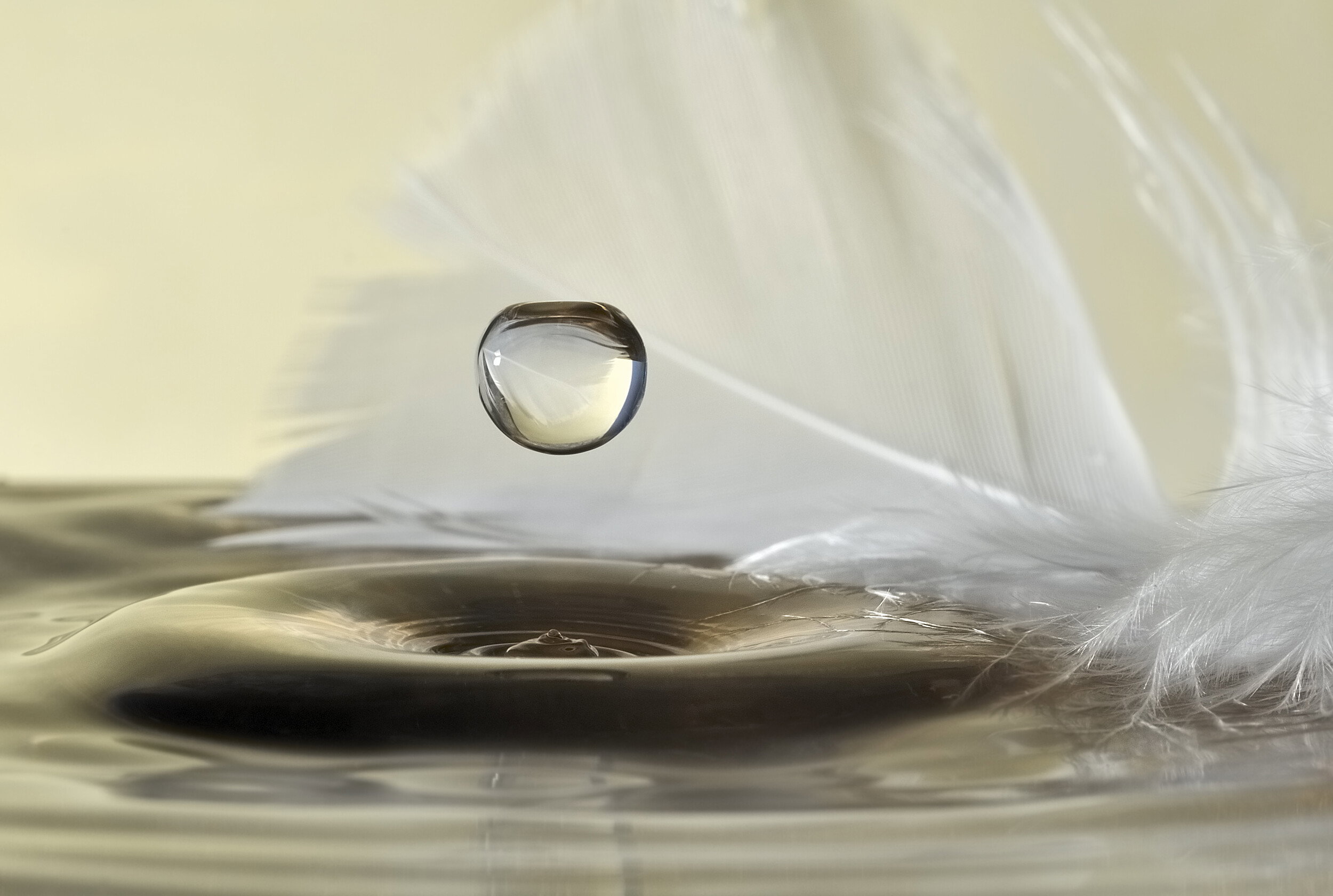 Serene Water Feather