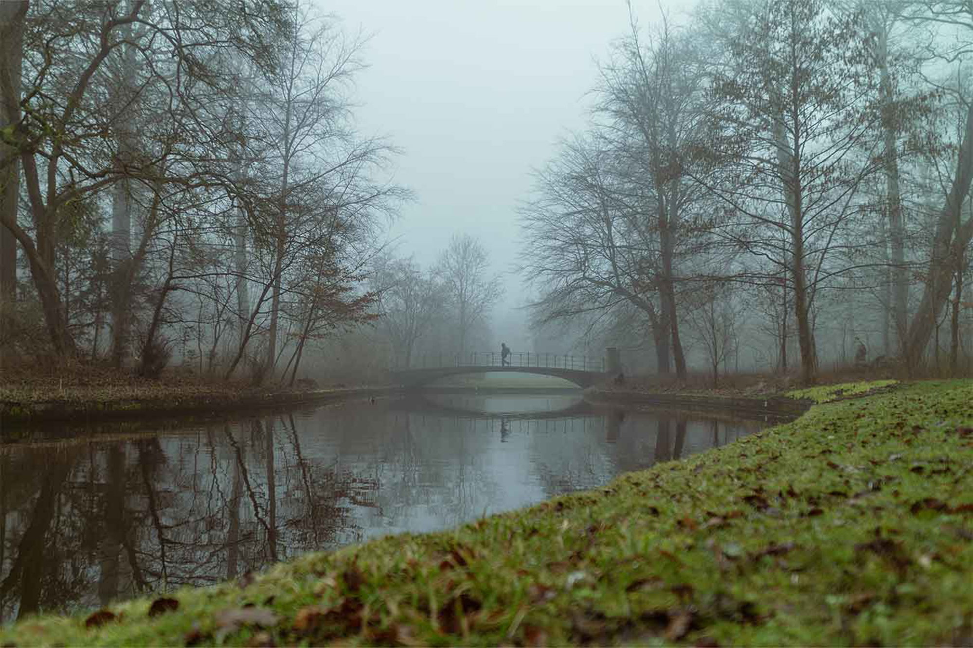 Fogged Up