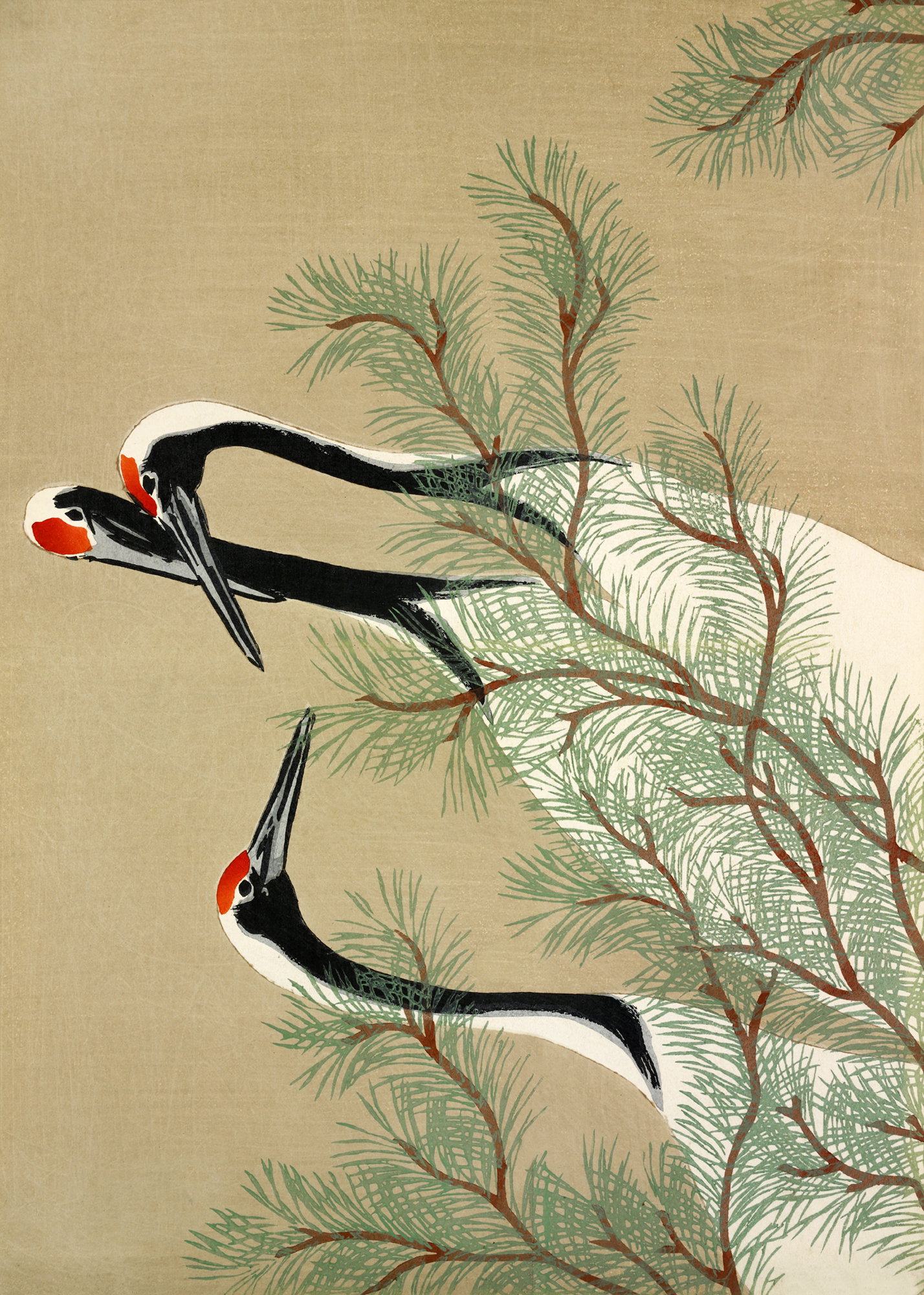 Cranes From Momoyogusa