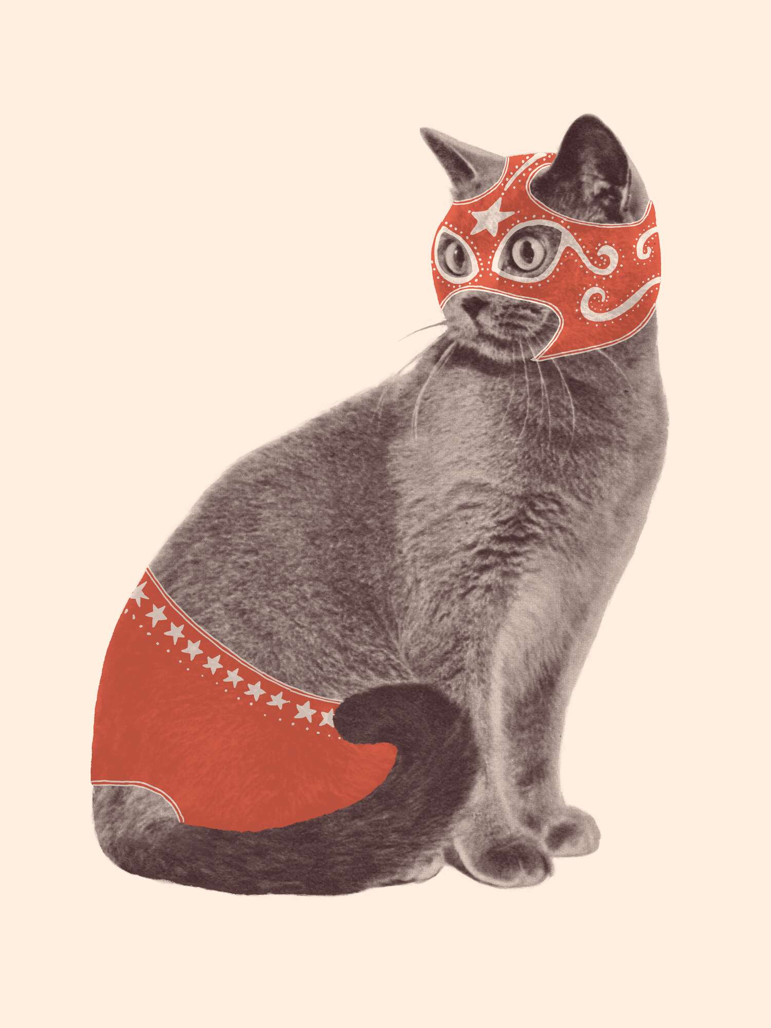 Funny Luchador Cat