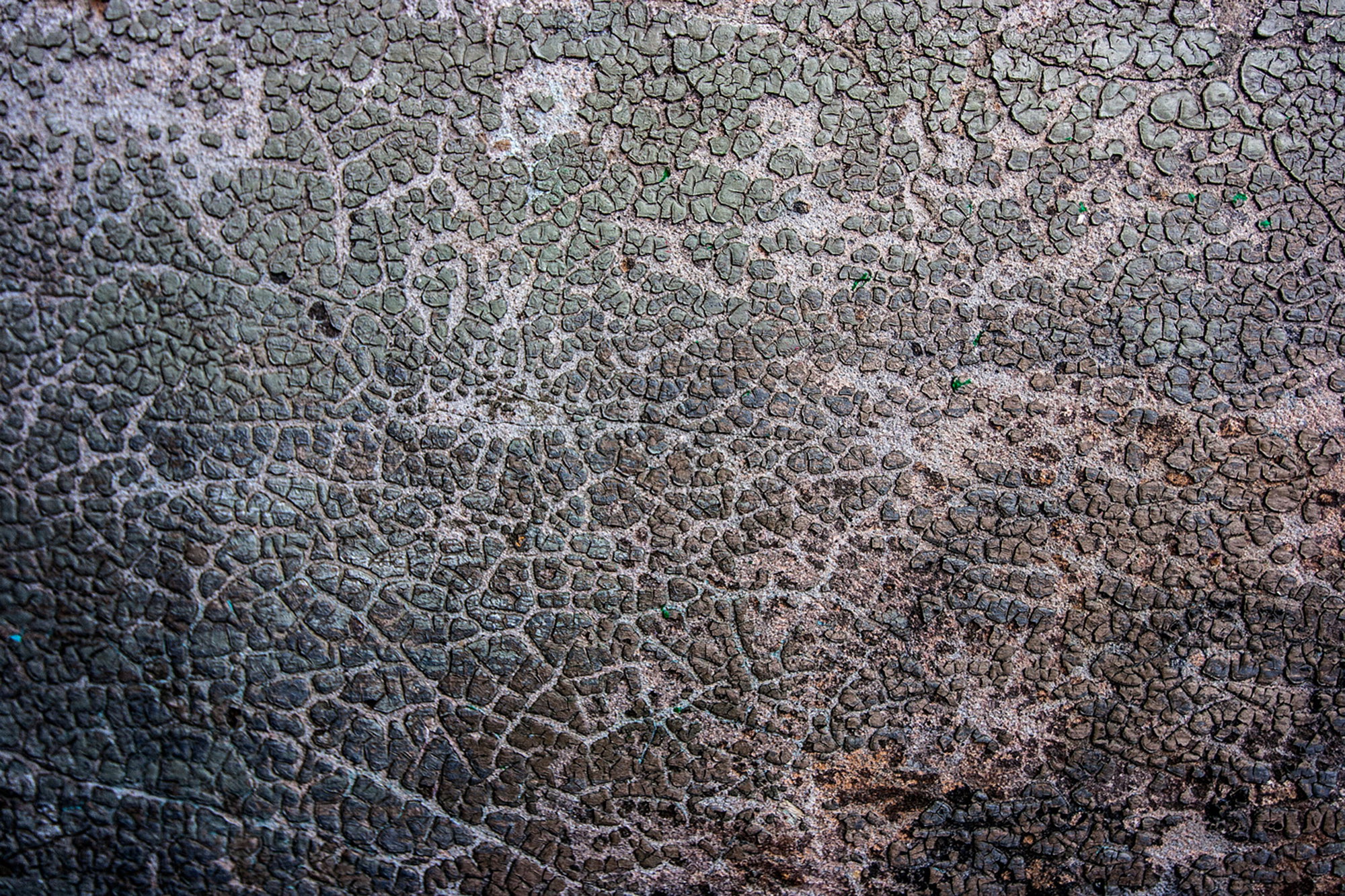 Past times wall
