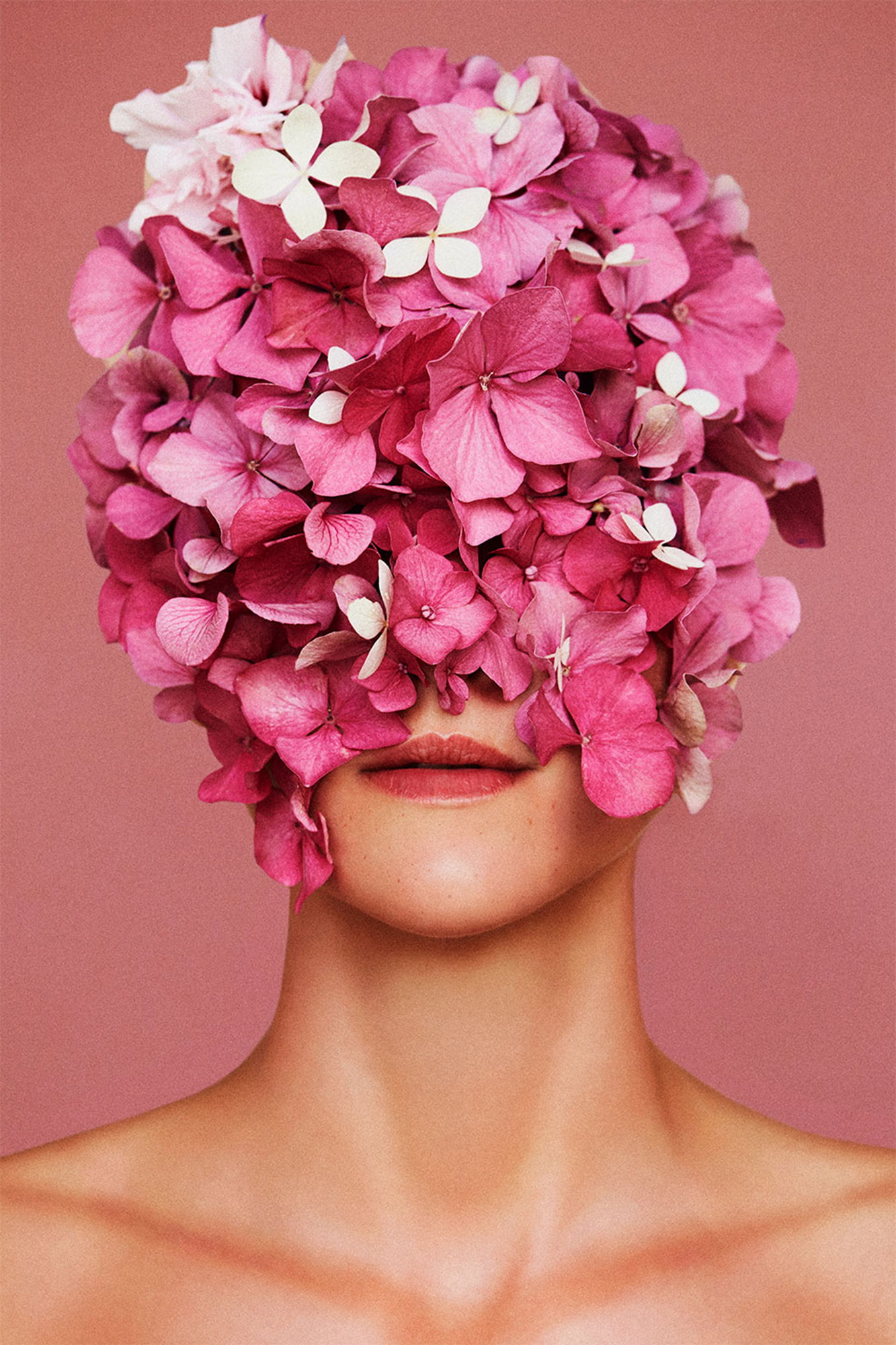 Flowerhead Pink