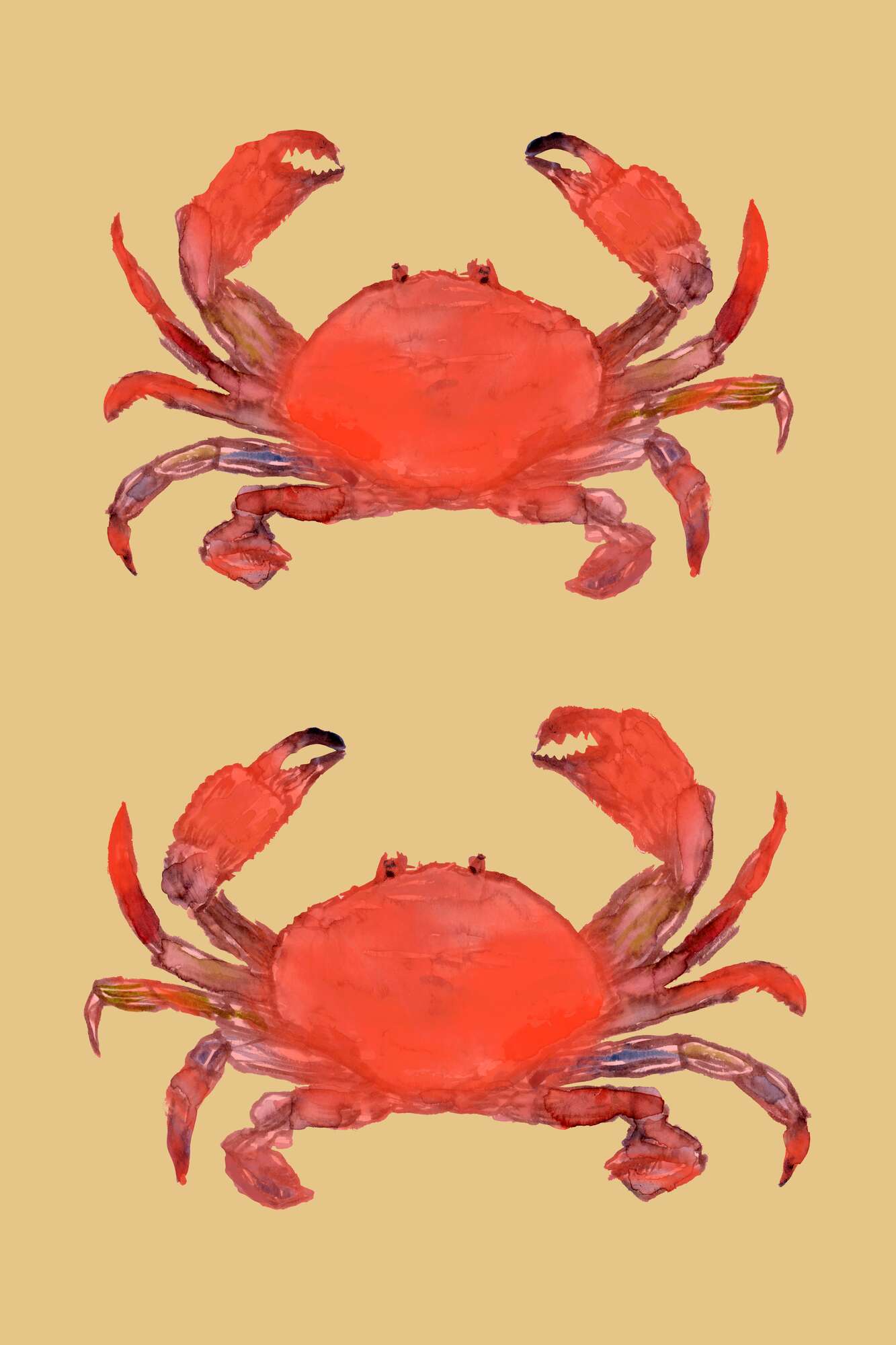 Vibrant Red Crabs
