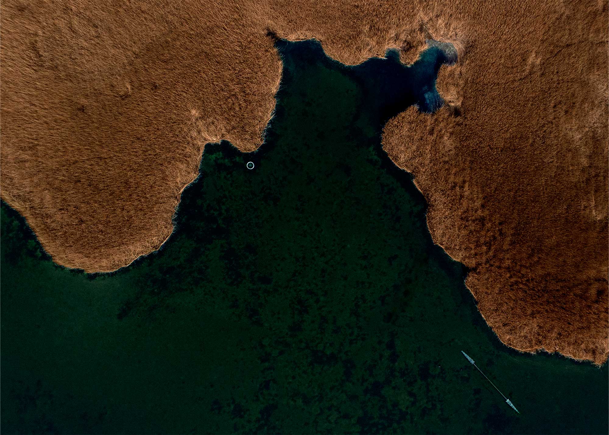 Staunings Ø i Solrød siv abstrakt Dronefoto