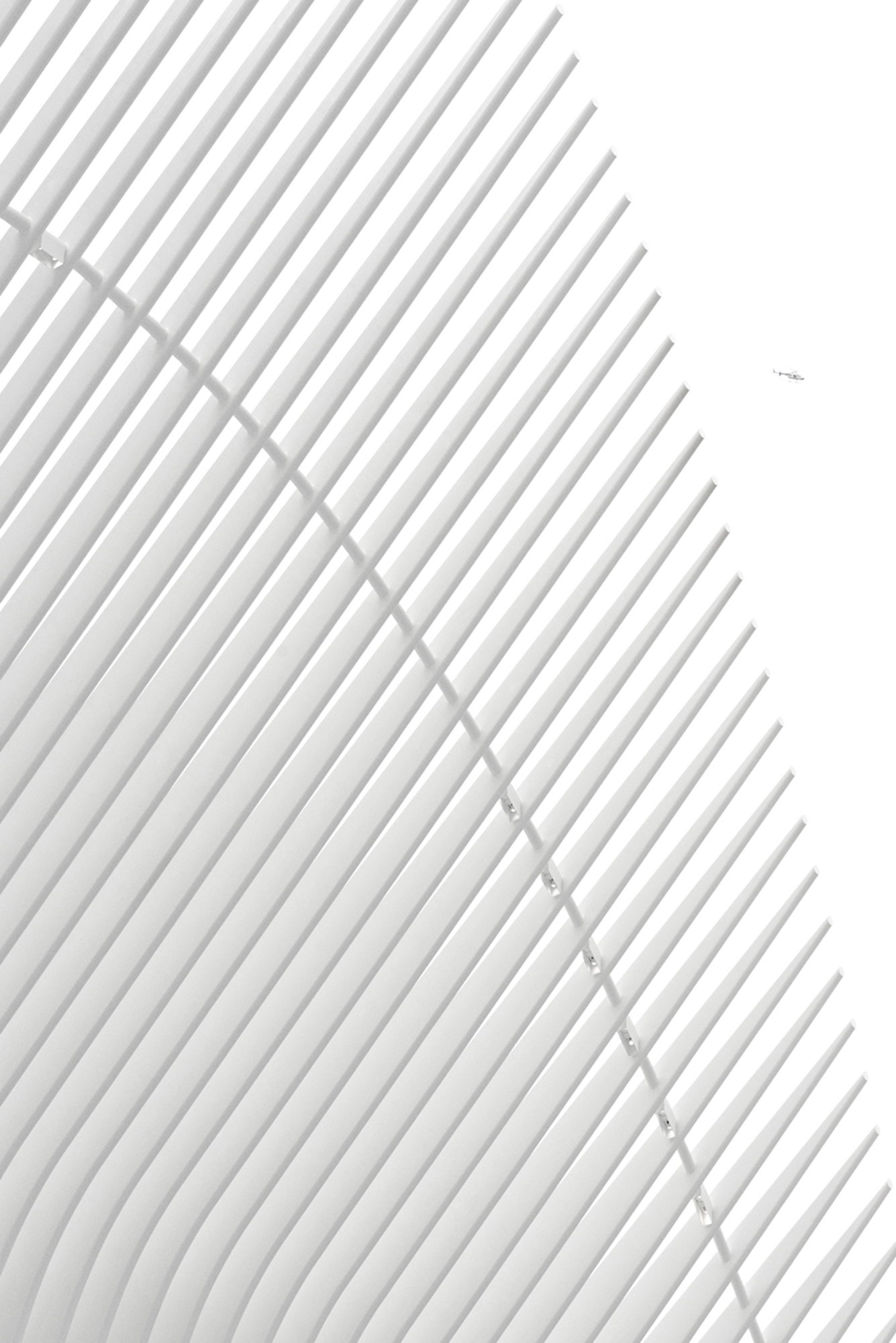The Oculus no. 2