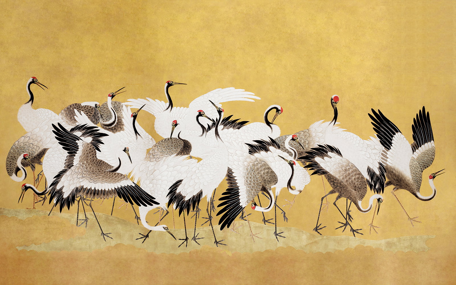 Cranes In Yellow