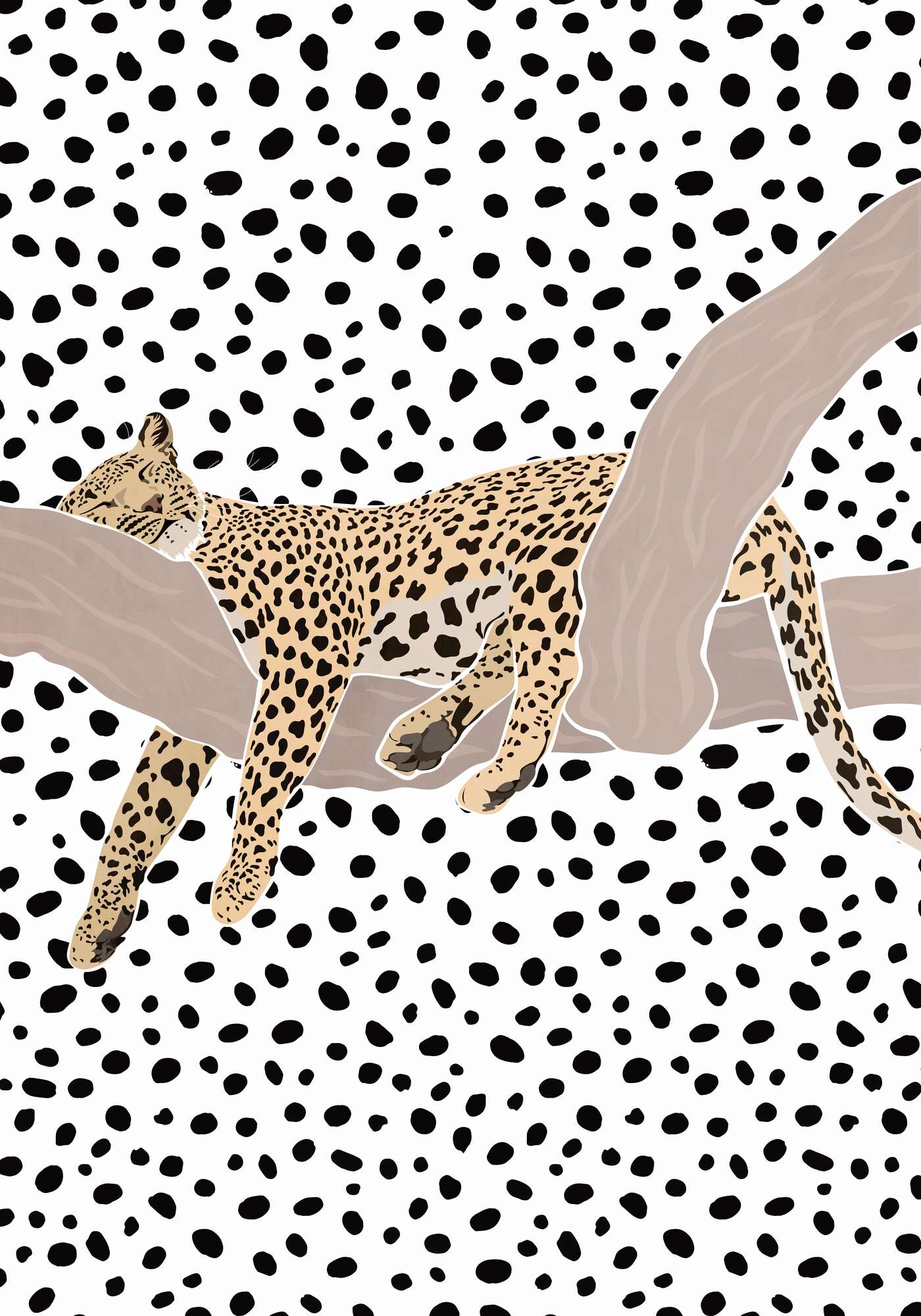 Resting Leopard Spots