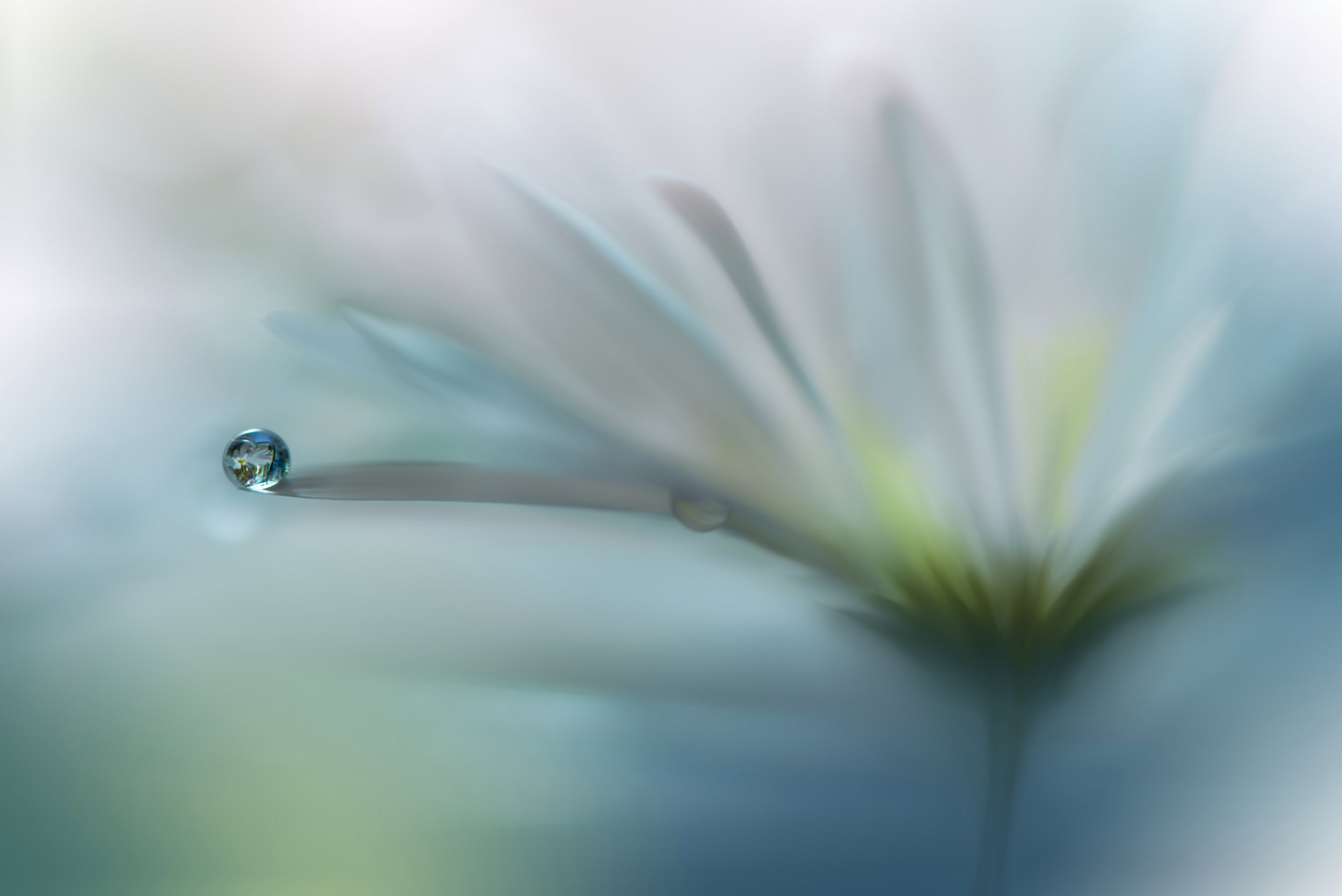 Delicate Water Drop No. 2