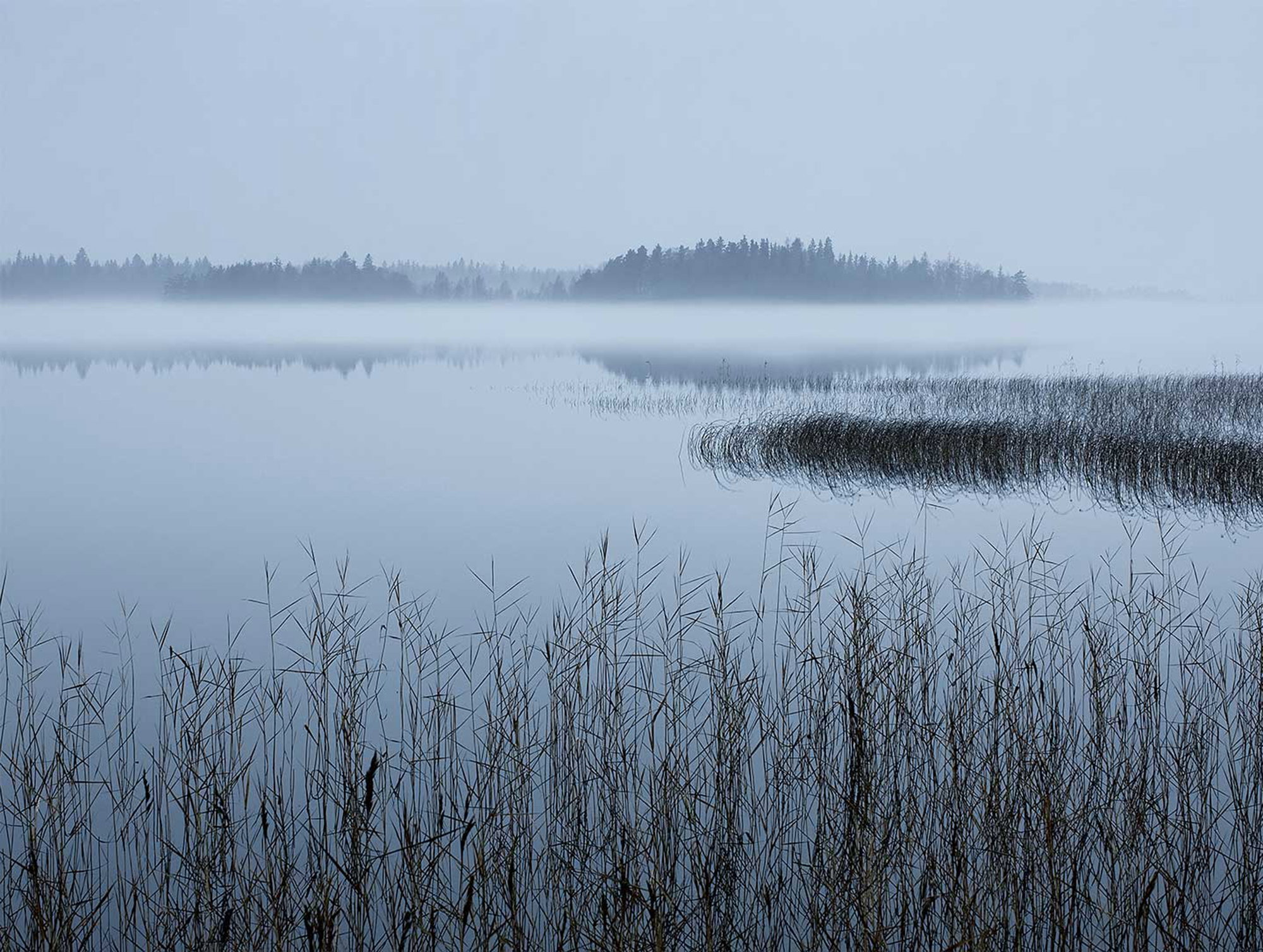 Søsceneri