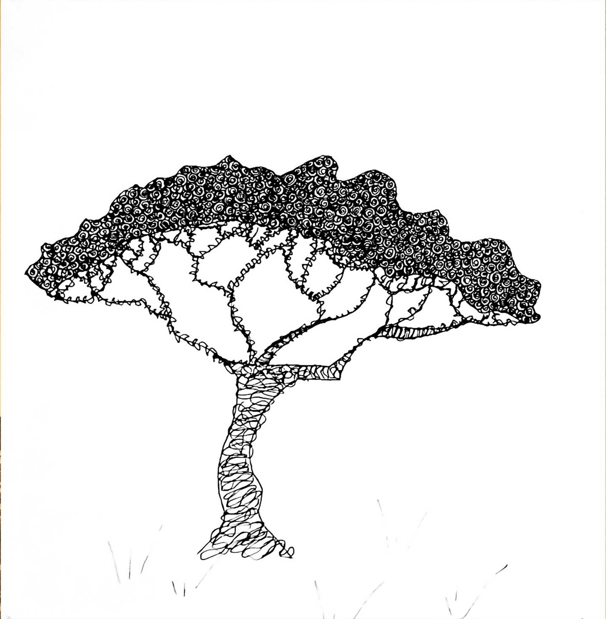 Krusedulletræ