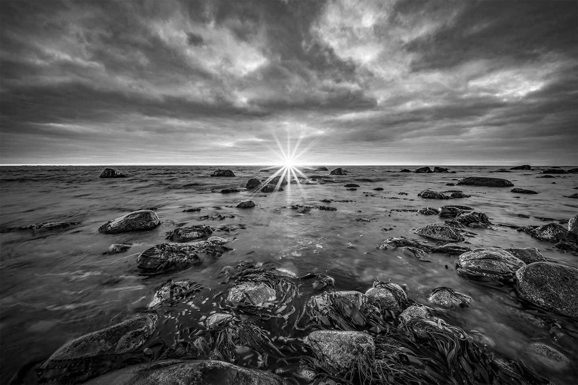Monochrome Sunset