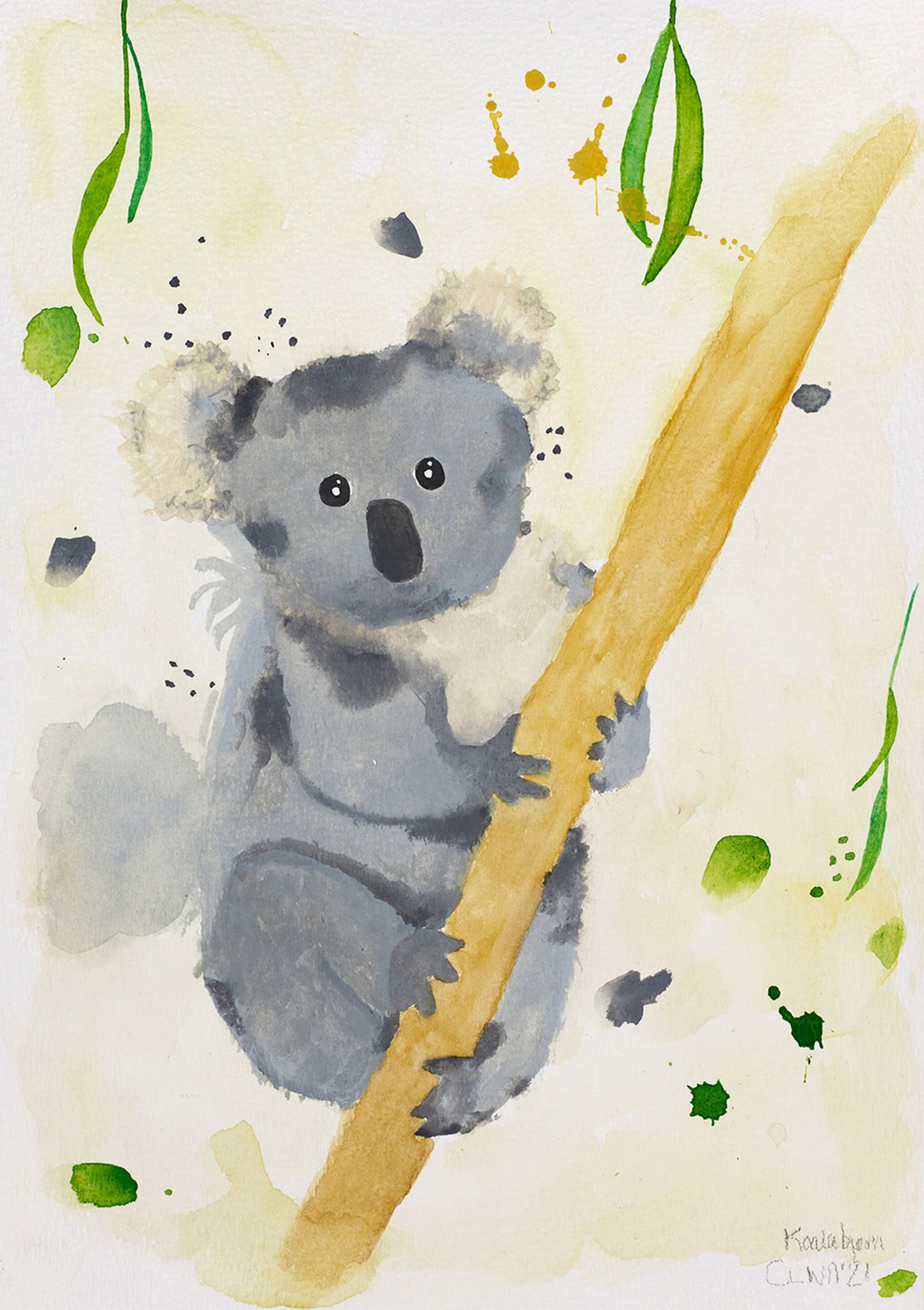 Koala