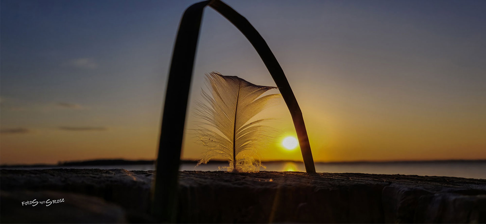Strå & Fjer I Solnedgang