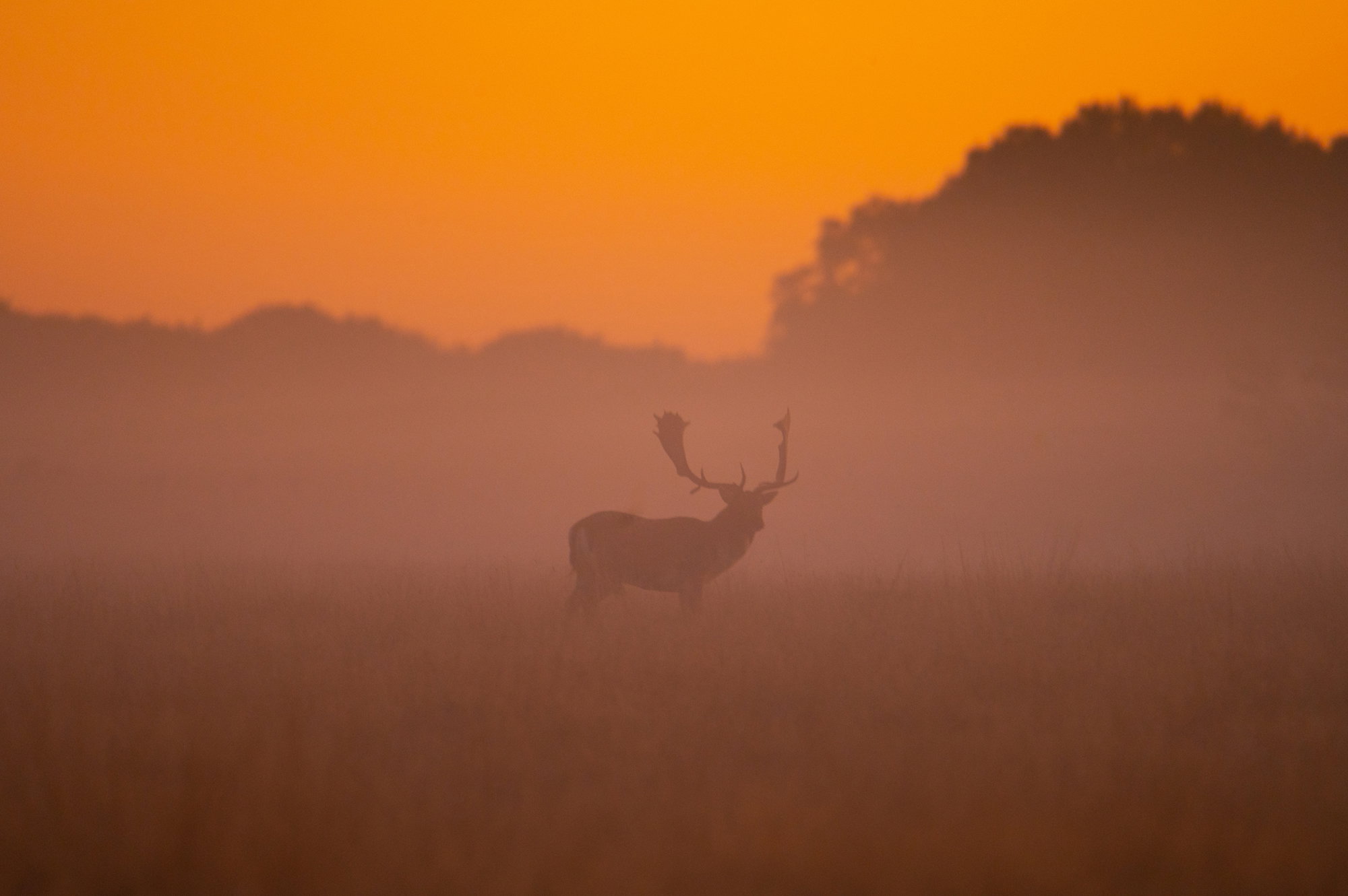Dawning of a new day